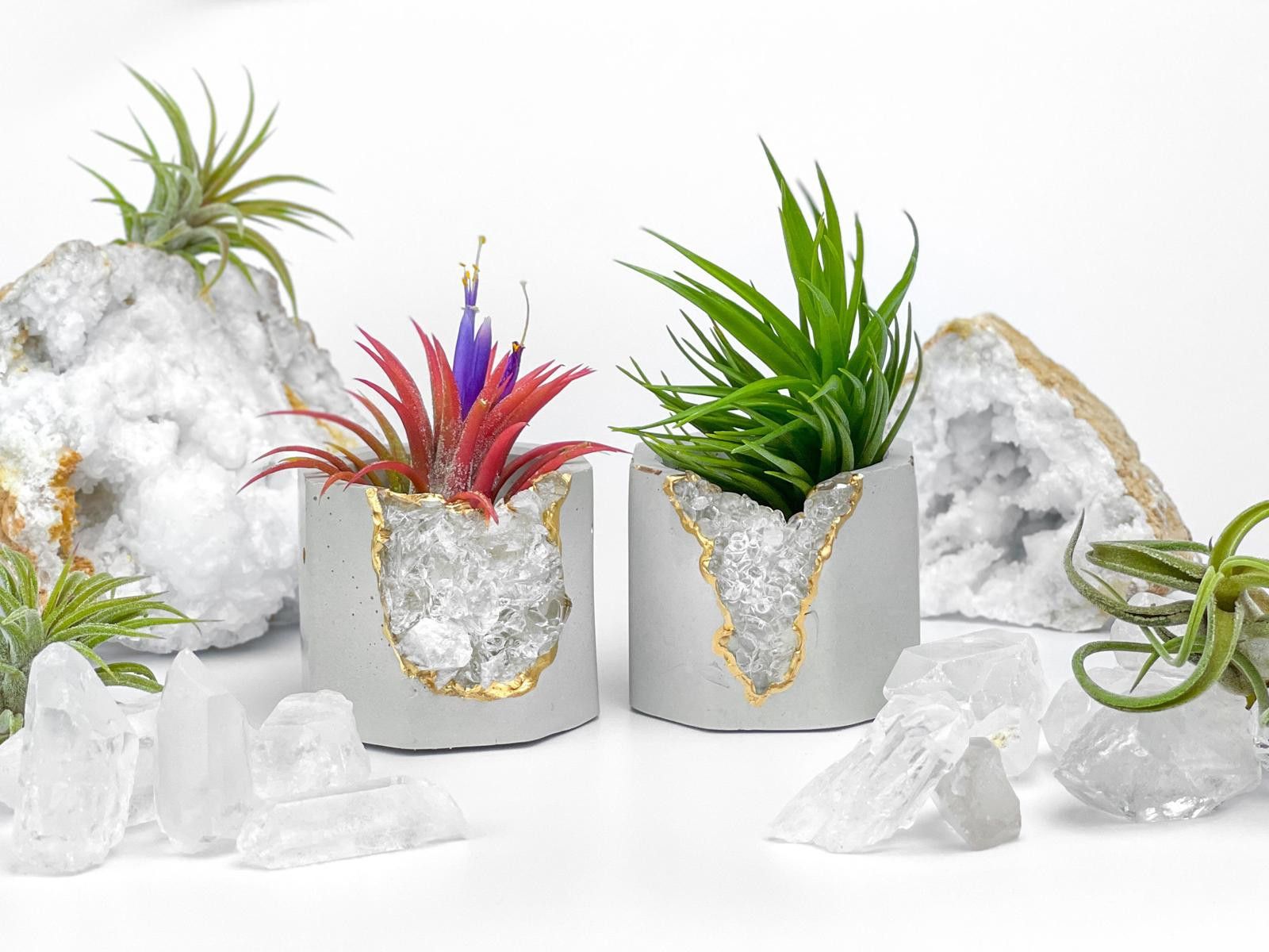Other Clear Quartz Crystal Planter Small Succulent Pot tillandsia Size ONE SIZE - 3 Thumbnail