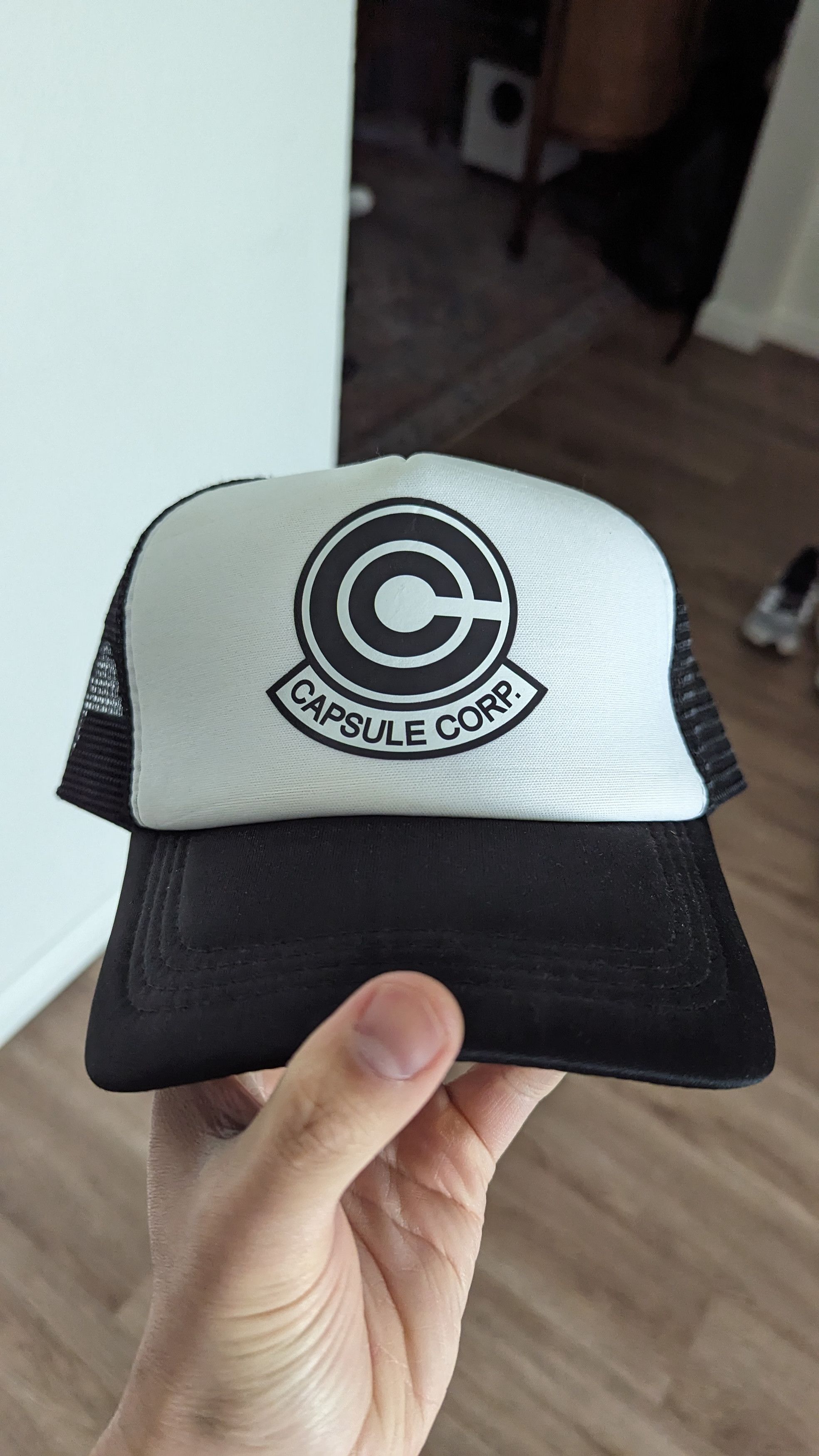 Generic Capsule Corp Hat | Grailed