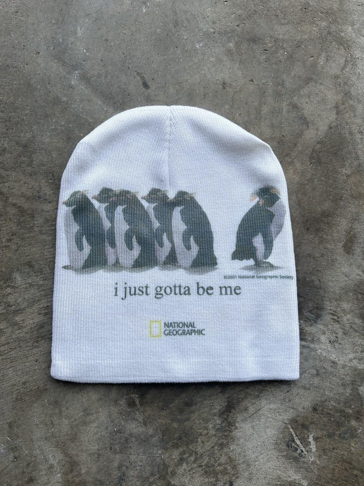 Other National Geographic Penguin Beanie Size ONE SIZE - 1 Preview