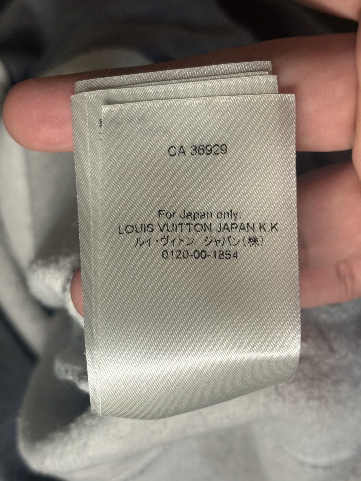 Louis Vuitton Louis Vuitton grey monogram hoodie Size US XS / EU 42 / 0 - 17 Thumbnail
