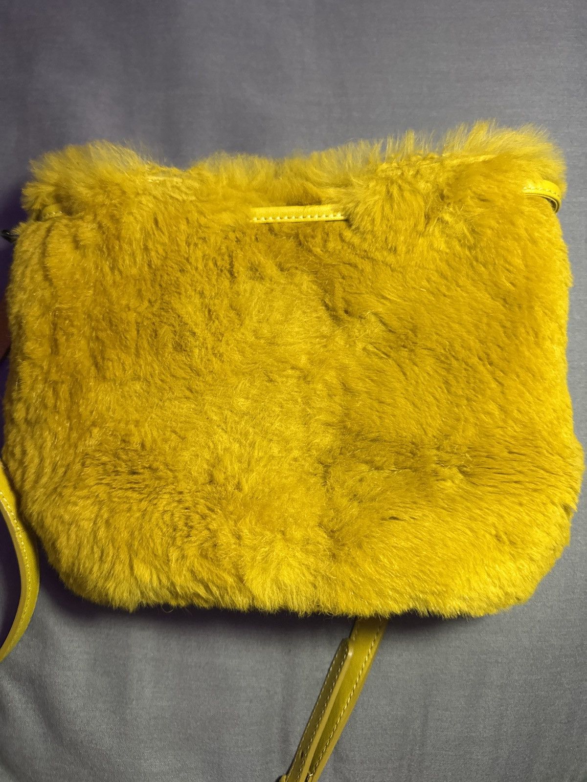 Longchamp Longchamp Rabbit Fur Crossbody Bag Size ONE SIZE - 3 Thumbnail