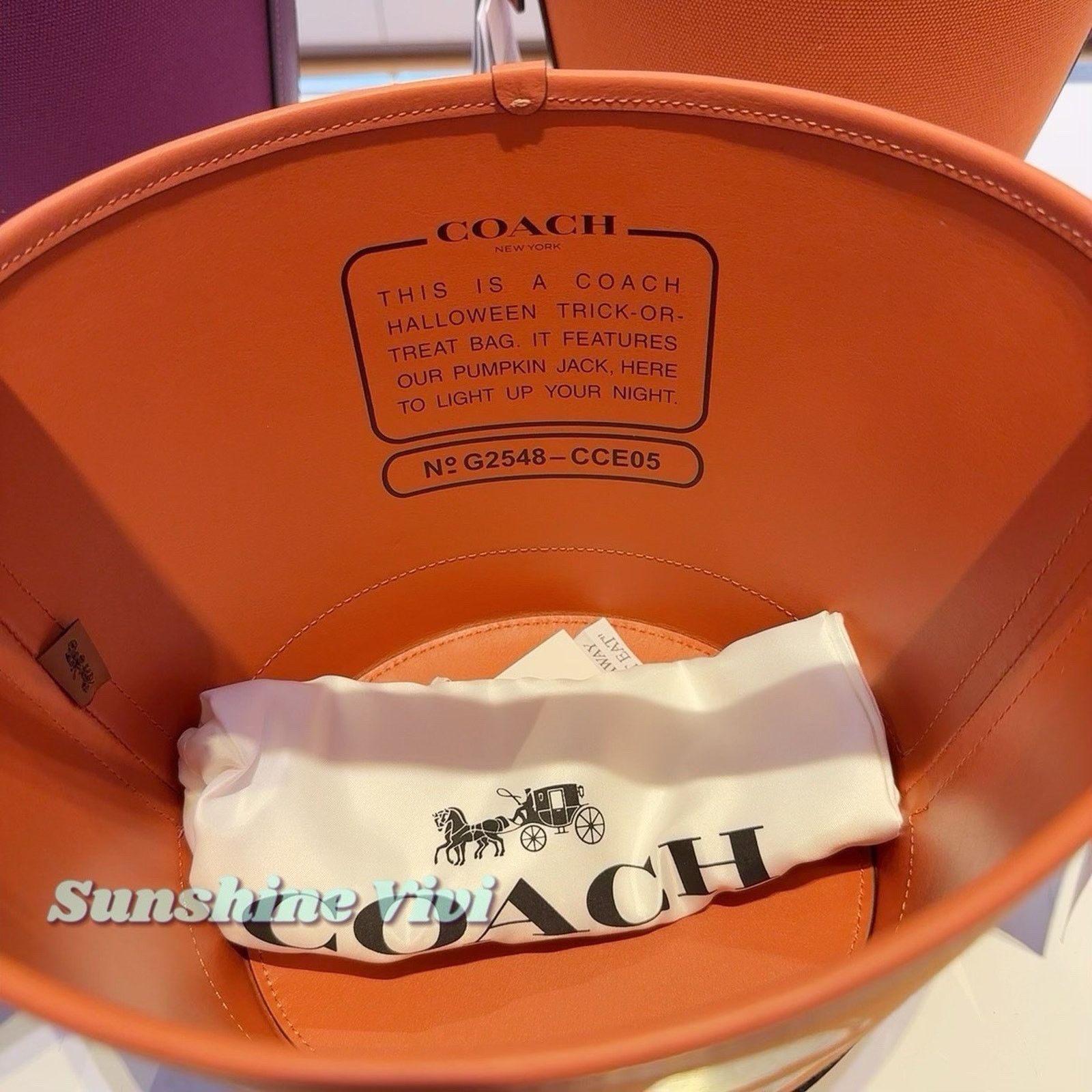 Coach NWT Coach Trick Or Treat Bucket CCE05 Halloween Pumpkin 2025 Size ONE SIZE - 4 Thumbnail