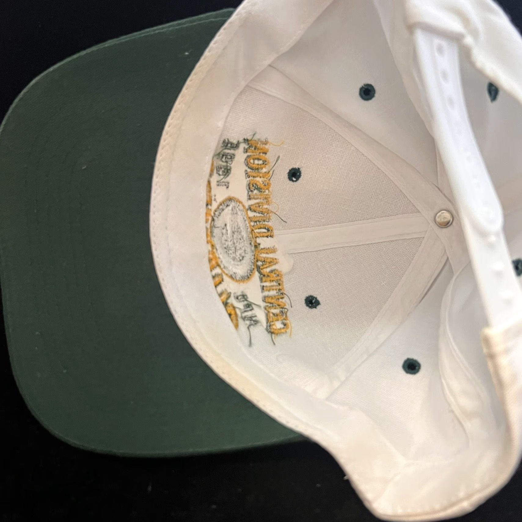 NFL VINTAGE Green Bay Packers VTG Central Division Champs 1996 Snapback Baseball Cap Hat Size ONE SIZE - 5 Thumbnail