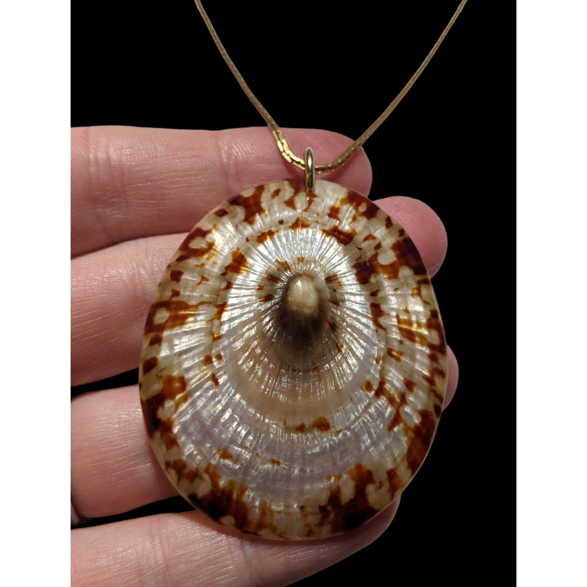 Other Limpet Shell Pendant Necklace Size ONE SIZE - 3 Thumbnail