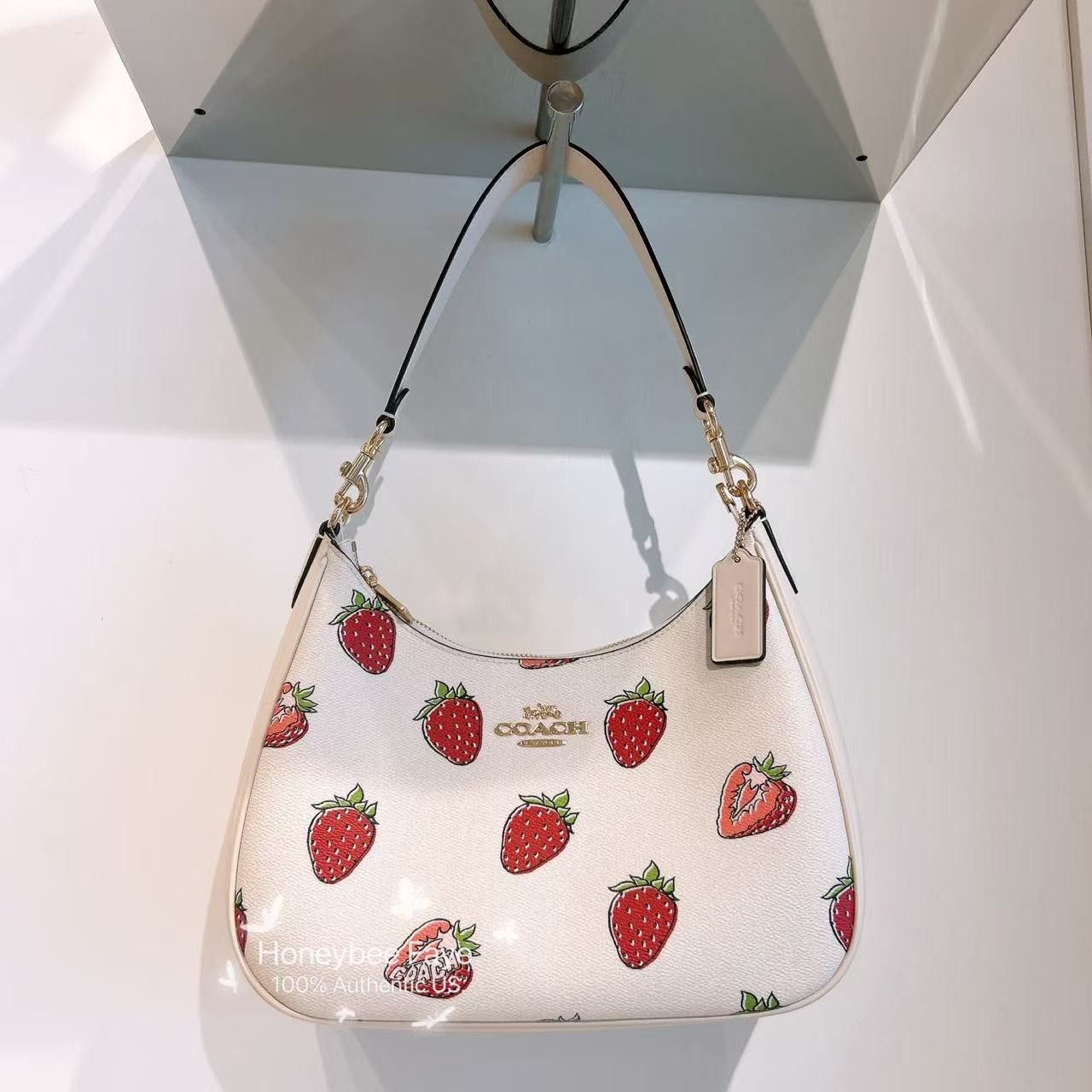 日本未入荷 Coach Teri Hobo Bag CAL67 フルーツ柄 Coach Teri Hobo Bag With Cherry Print | Brixton Baker