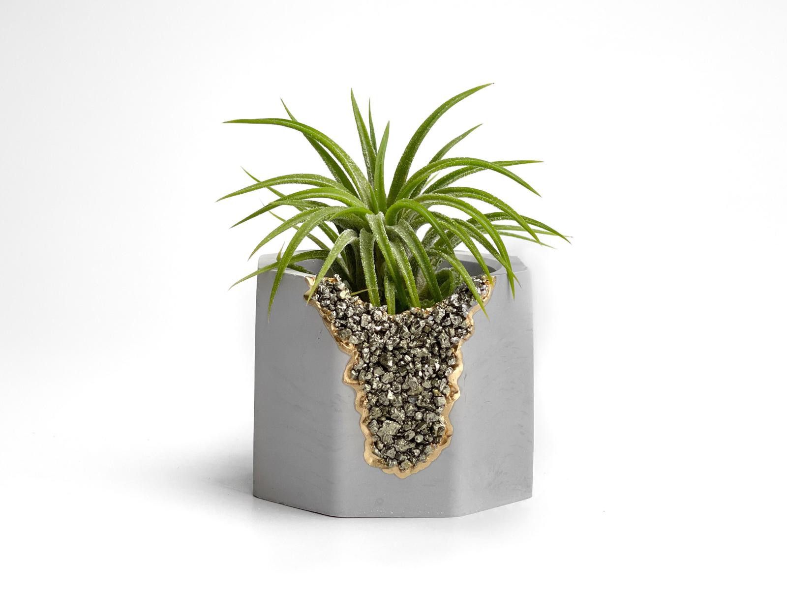 Other Succulent Pyrite Crystal Planter Geode Air Plant Gemstone Size ONE SIZE - 3 Thumbnail