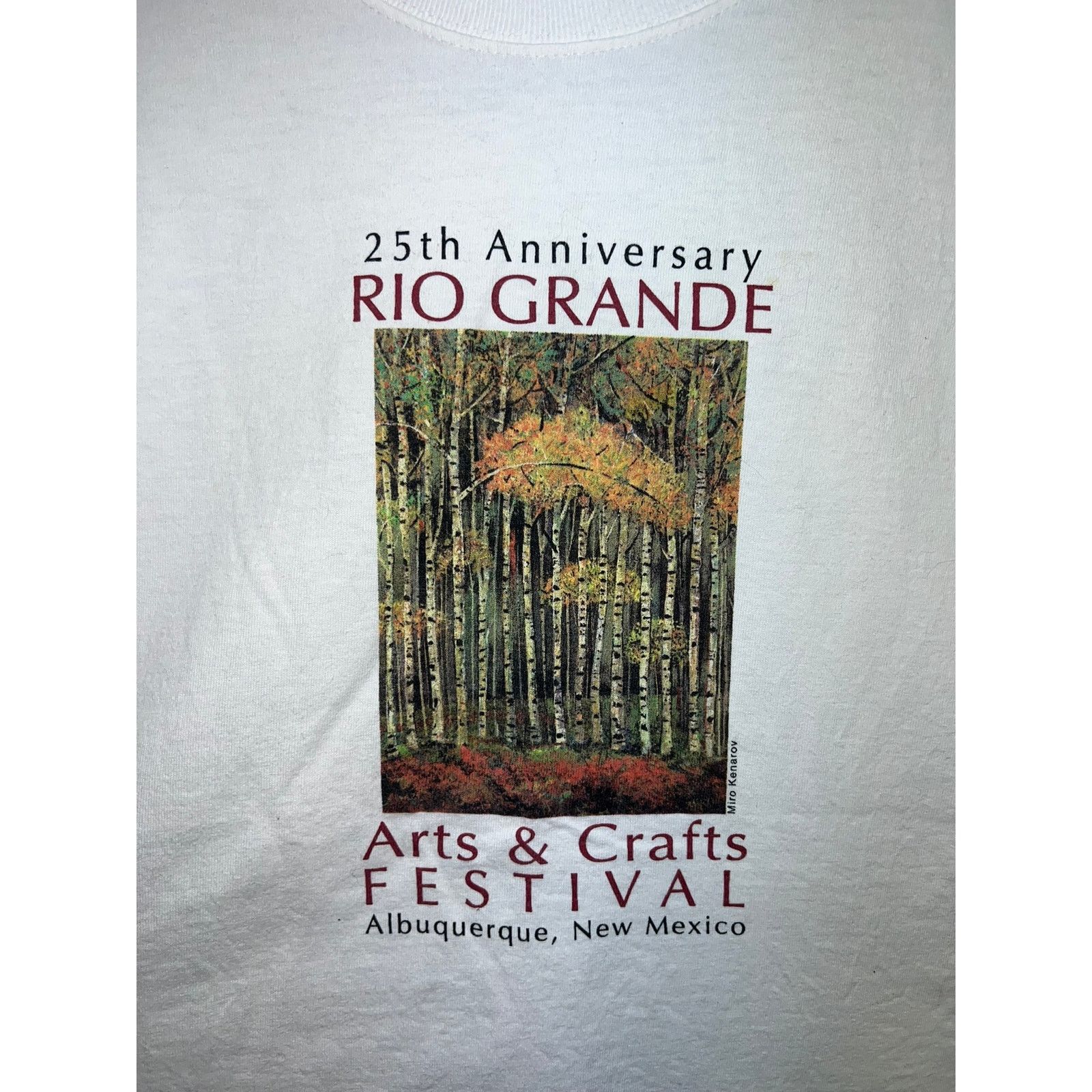 Port & Company Vintage Arts Festival Shirt Rio Grande Art Long Sleeve L Size US L / EU 52-54 / 3 - 2 Thumbnail
