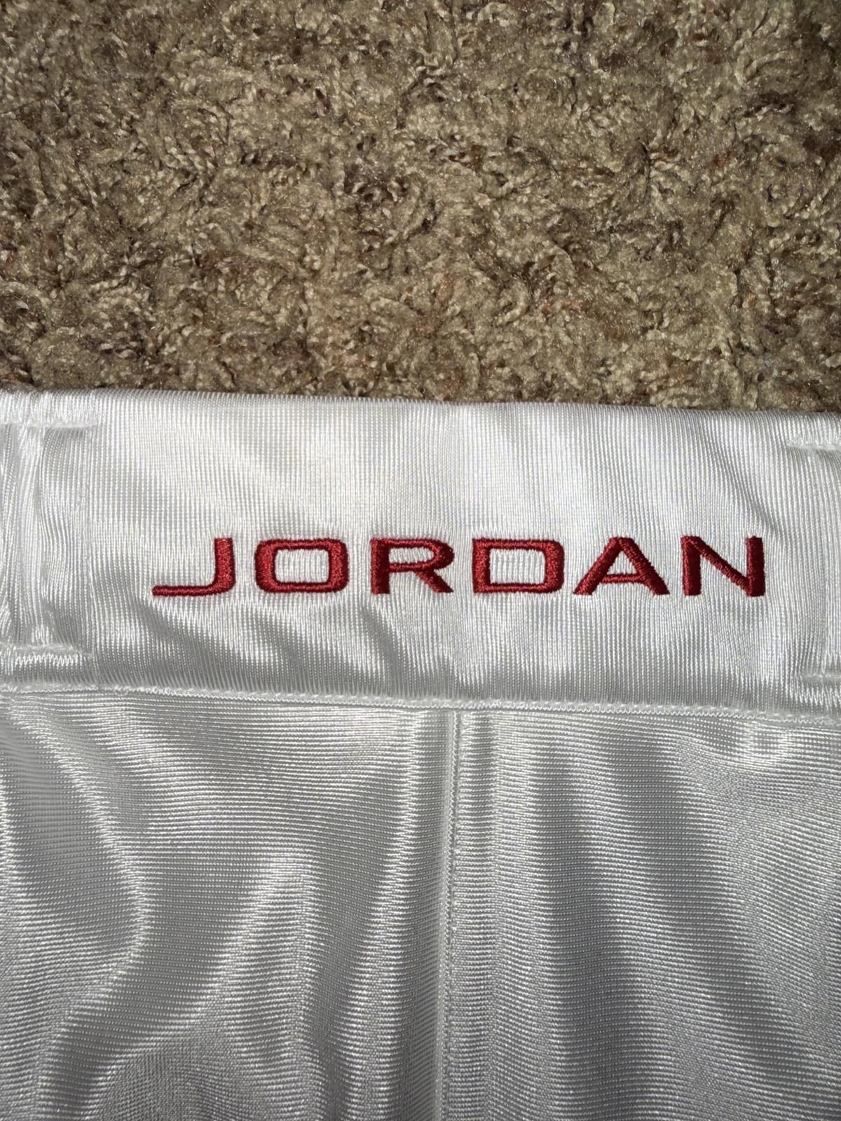 Nike Jordan Men’s Brooklyn Cat Scratch Shorts Sample Size US 44 / EU 60 - 3 Thumbnail