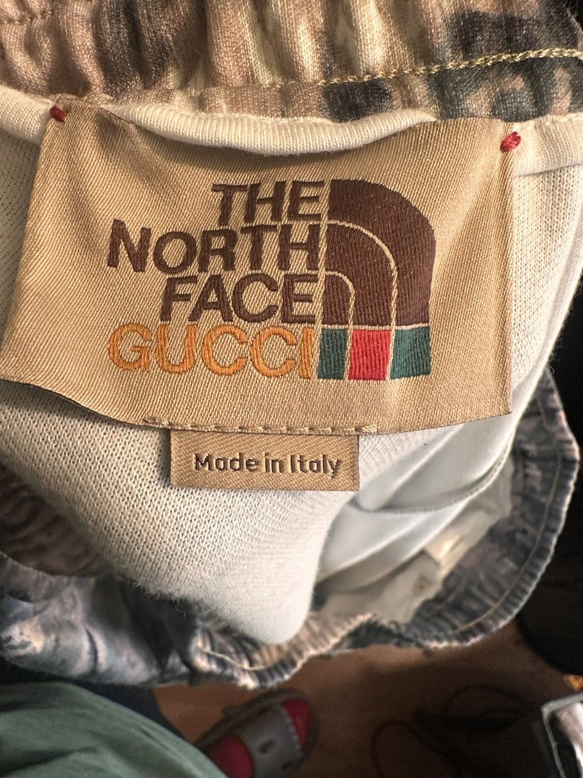 Gucci × The North Face Gucci x North face sweatpants Size US 36 / EU 52 - 4 Thumbnail