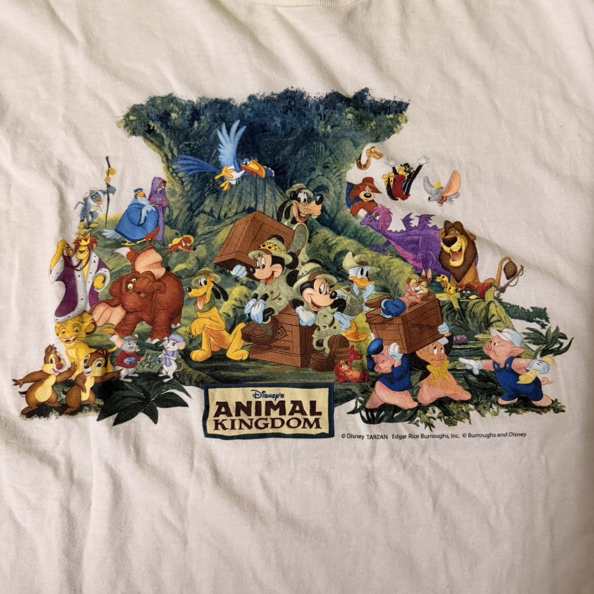 0adc33a001374b8ba38aa5071c8a00f0