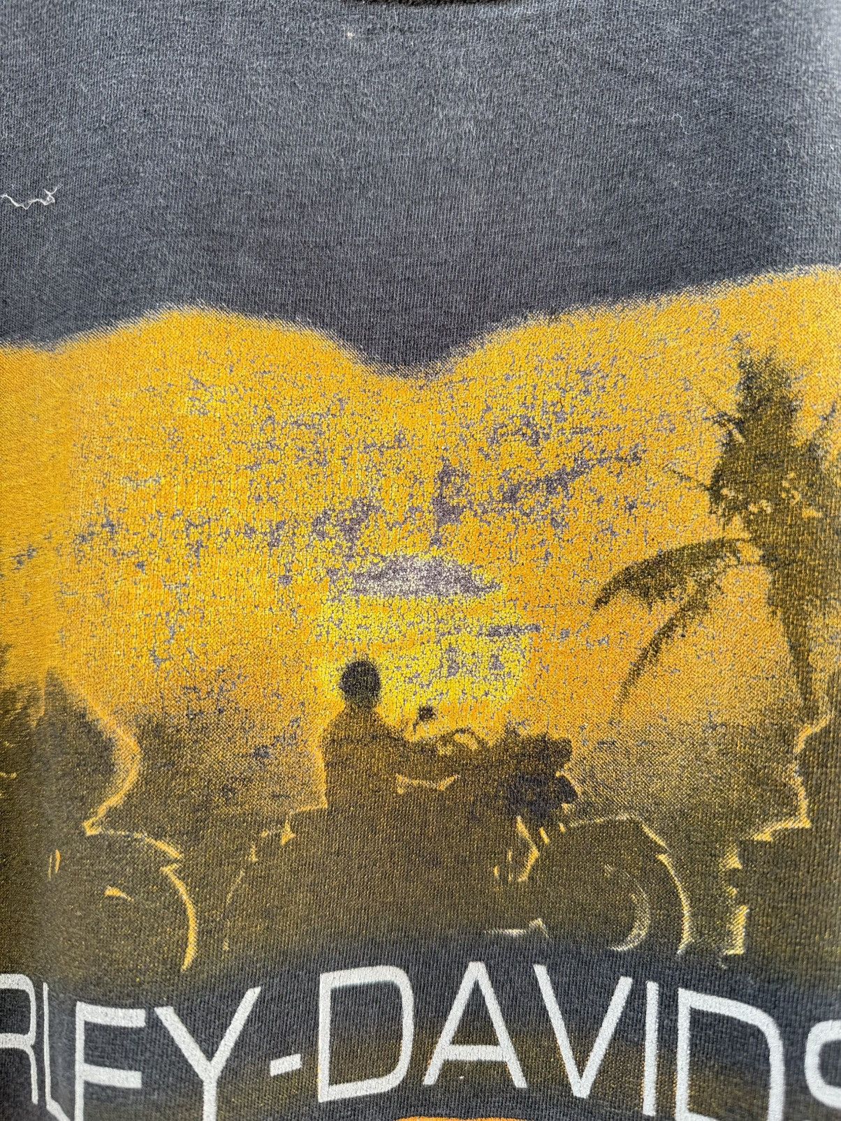 Harley Davidson Thrashed Vintage Harley Davidson Caribbean Faded Grunge Tee Size US L / EU 52-54 / 3 - 5 Thumbnail