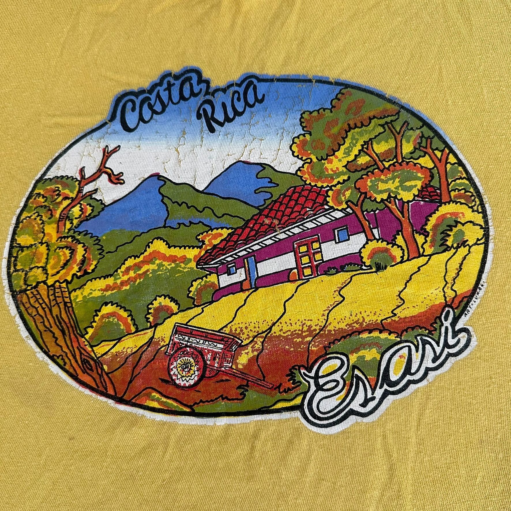 Vintage Vintage 80s Costa Rica Pura Vida T-Shirt Gorpcore Nature Yel Size US L / EU 52-54 / 3 - 2 Thumbnail