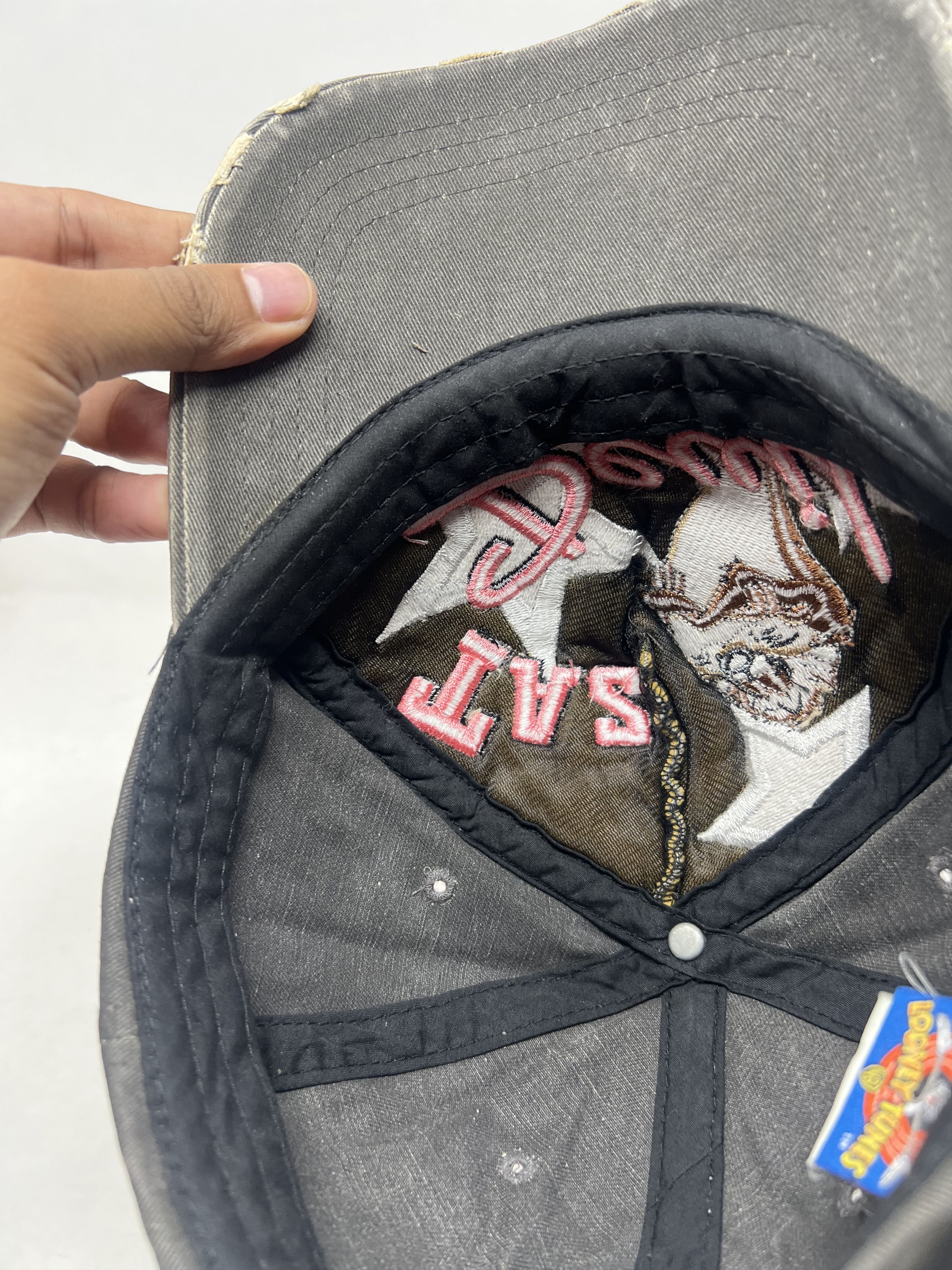 Warner Bros Taz-Mania Devil Looney Tunes Hat Size ONE SIZE - 14 Thumbnail