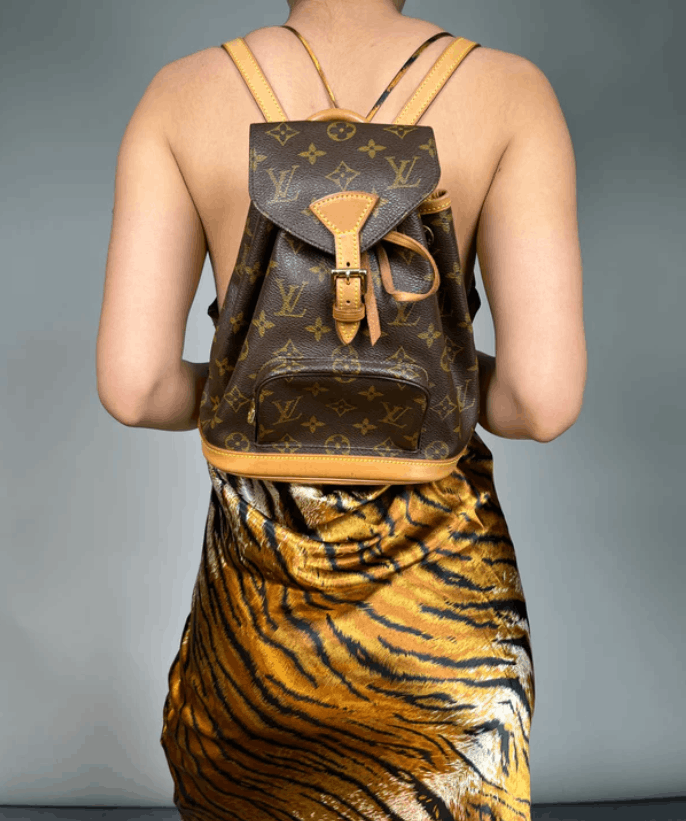 Louis Vuitton Louis Vuitton Montsouris PM Backpack Size ONE SIZE - 2 Thumbnail