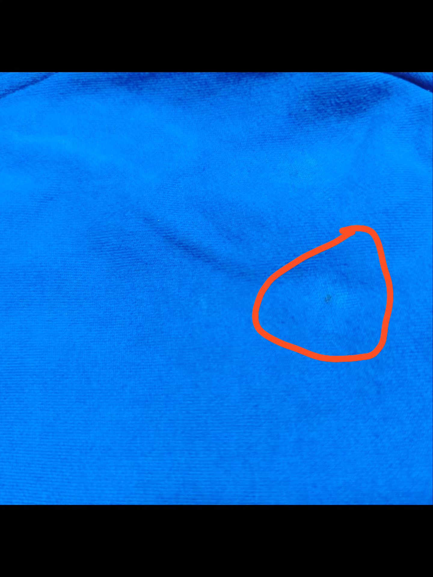 Billionaire Boys Club Billionaire Boys Club Blue Hoodie Size US XL / EU 56 / 4 - 7 Thumbnail