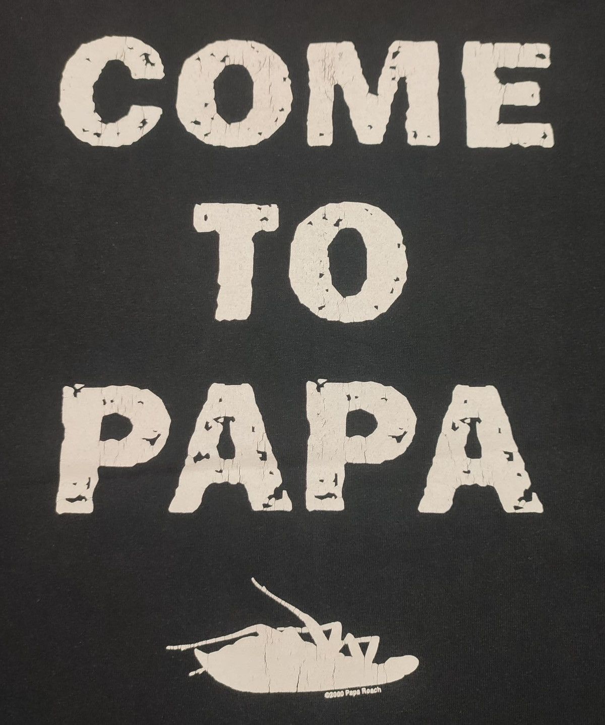 Band Tees × Vintage Vintage 00’s Papa Roach Size US XL / EU 56 / 4 - 5 Thumbnail