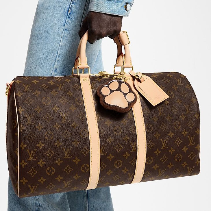 Louis Vuitton LV Paw Key Holder and Bag Charm Size ONE SIZE - 2 Thumbnail