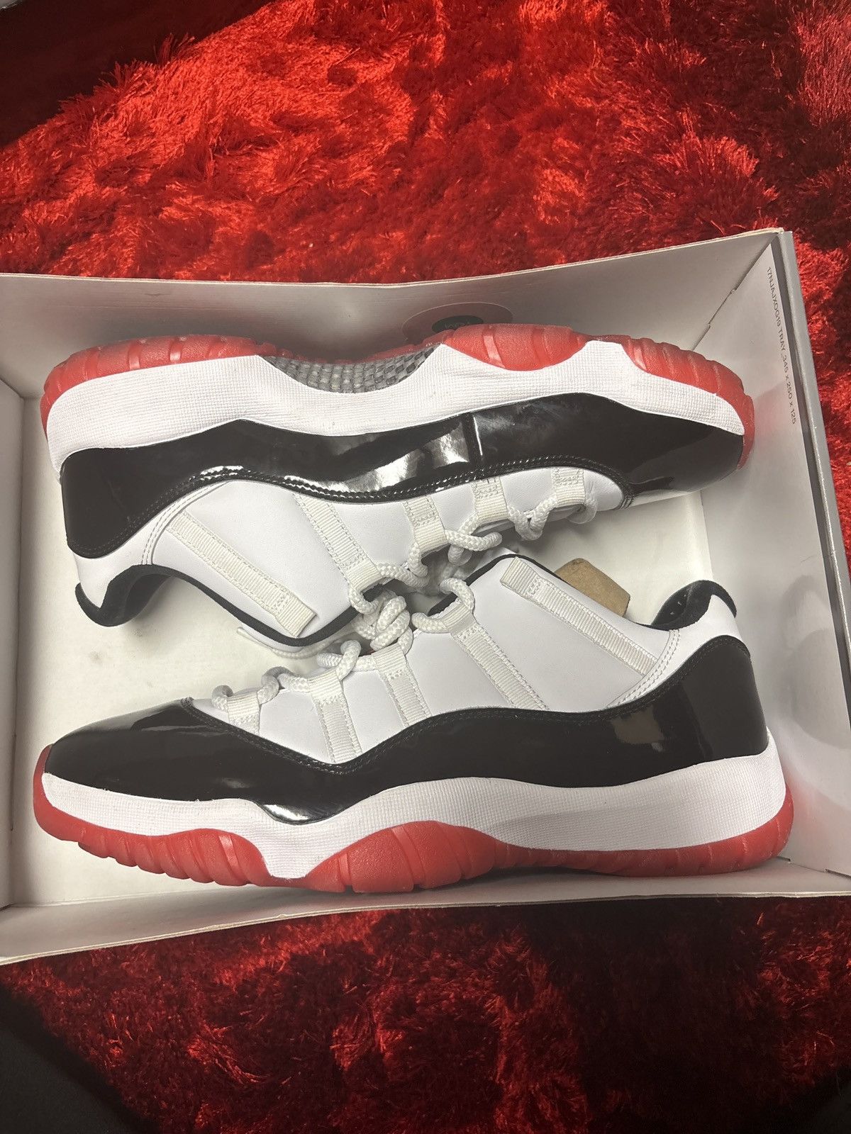 Jordan 11 Retro Low Concord Bred