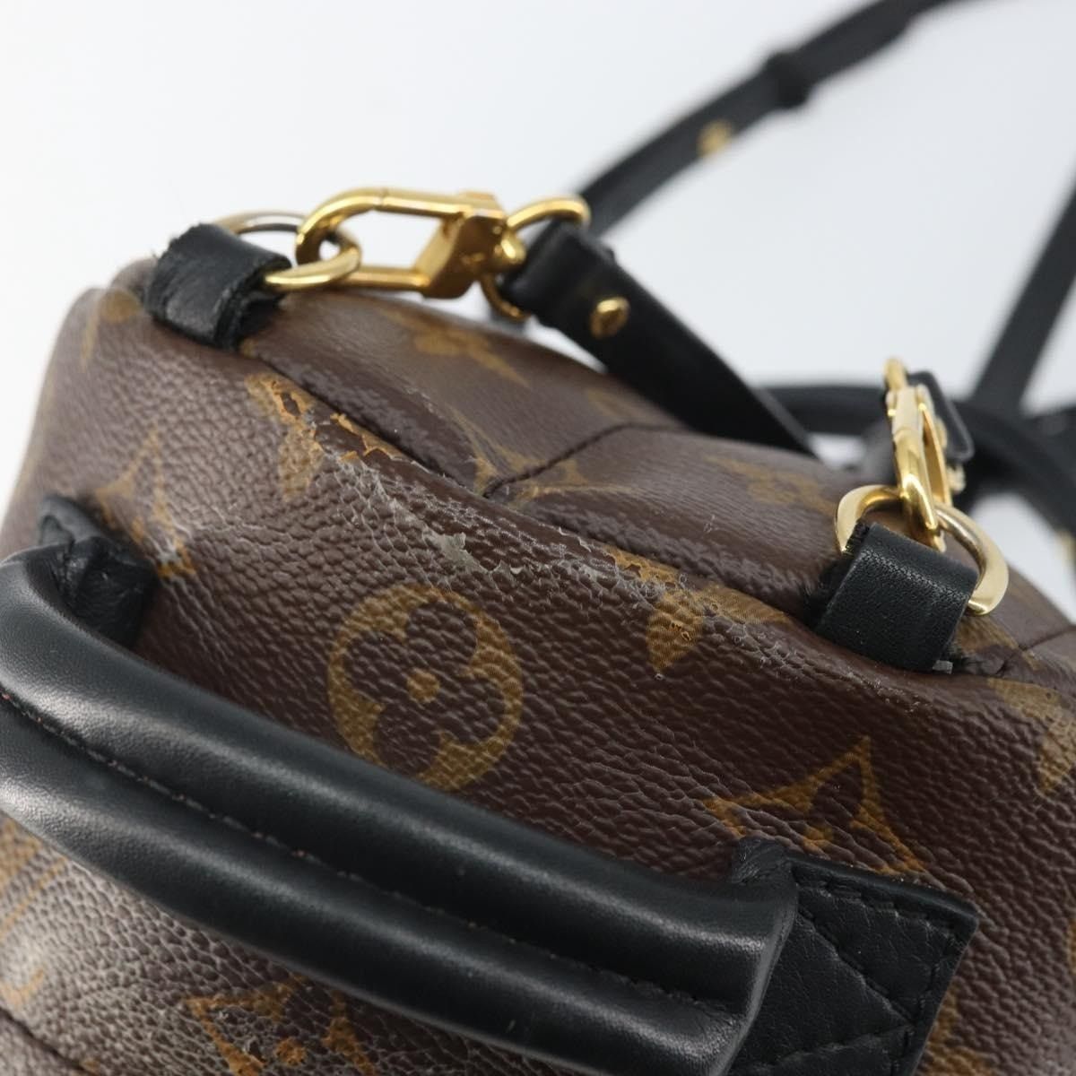 Louis Vuitton Louis Vuitton Monogram Palm Springs Mini Backpack Brown Size ONE SIZE - 2 Thumbnail