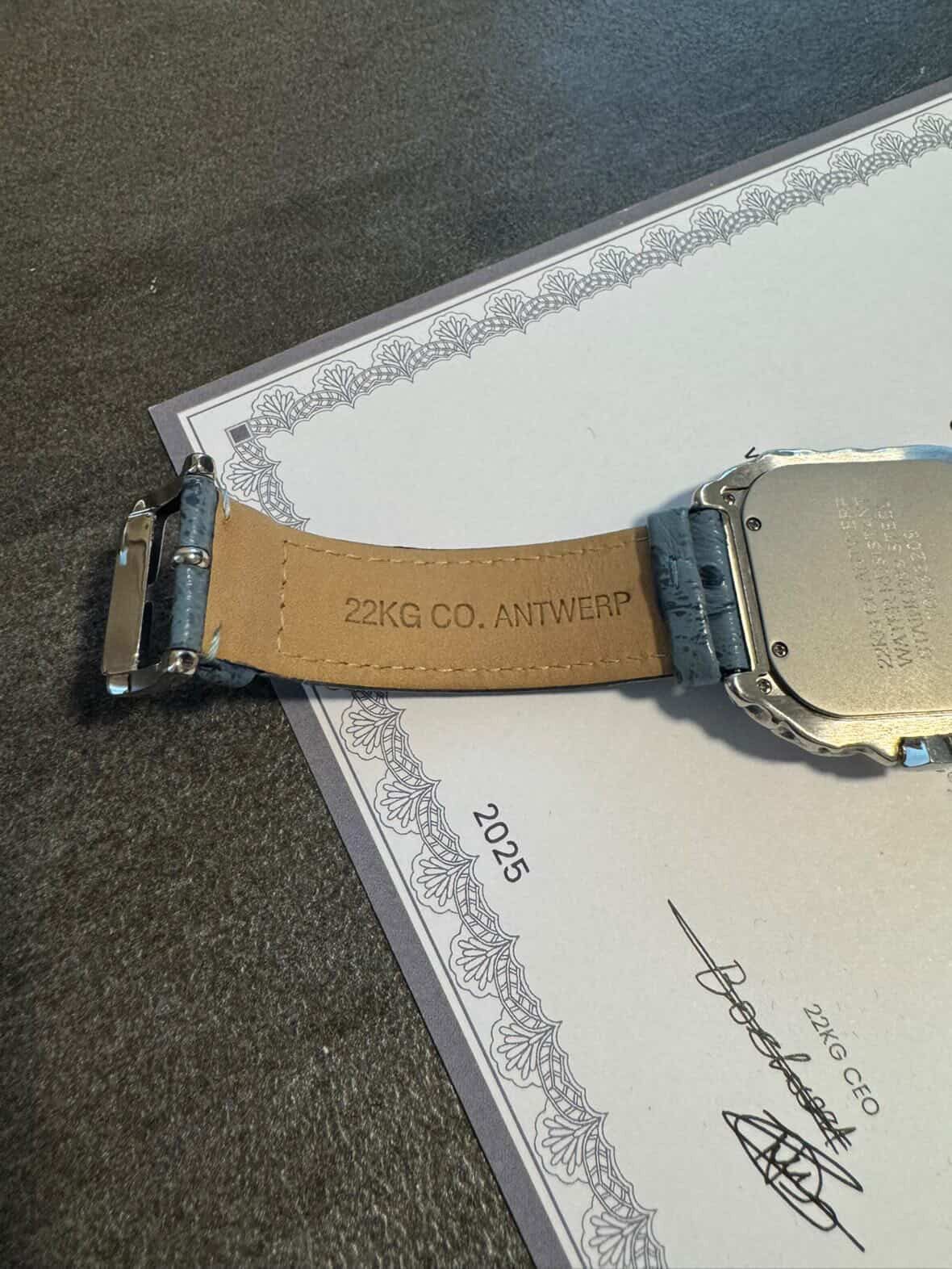 Other 22kilogram ostrich blue leather Size ONE SIZE - 6 Thumbnail
