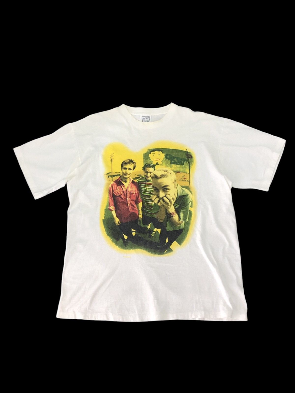 Vtg 1995 Green Day Insomniac Dookie Tour shirt
