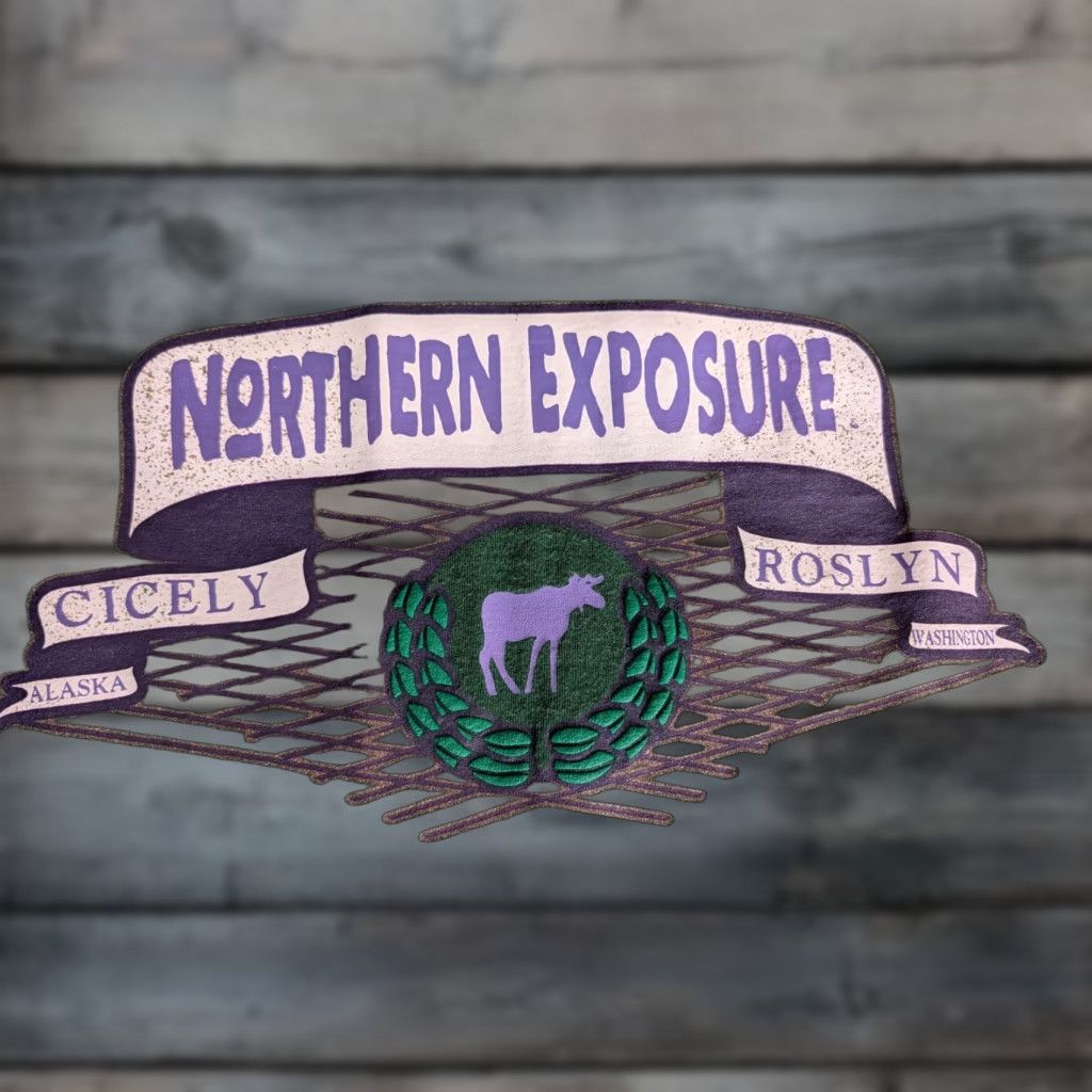 Jerzees VINTAGE 90s Northern Exposure T Shirt Cicely Alaska Roslyn Washington Jerzees XL Green Unisex Graphic Tee USA Made Short Sleeve Size US XL / EU 56 / 4 - 1 Thumbnail