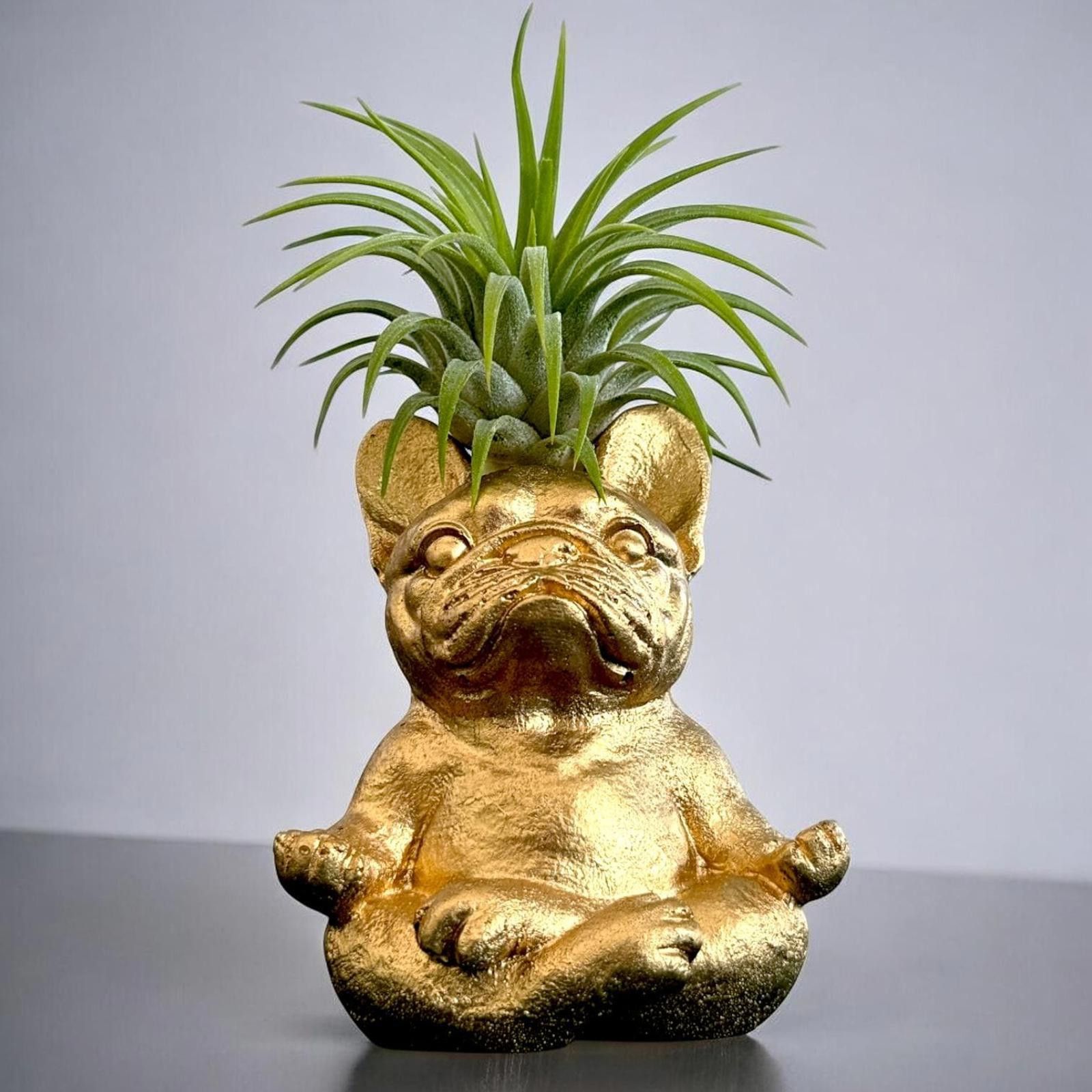 Other Zen Bulldog Air Planter, Meditating Dog Decor, Gift Figurine Size ONE SIZE - 1 Thumbnail