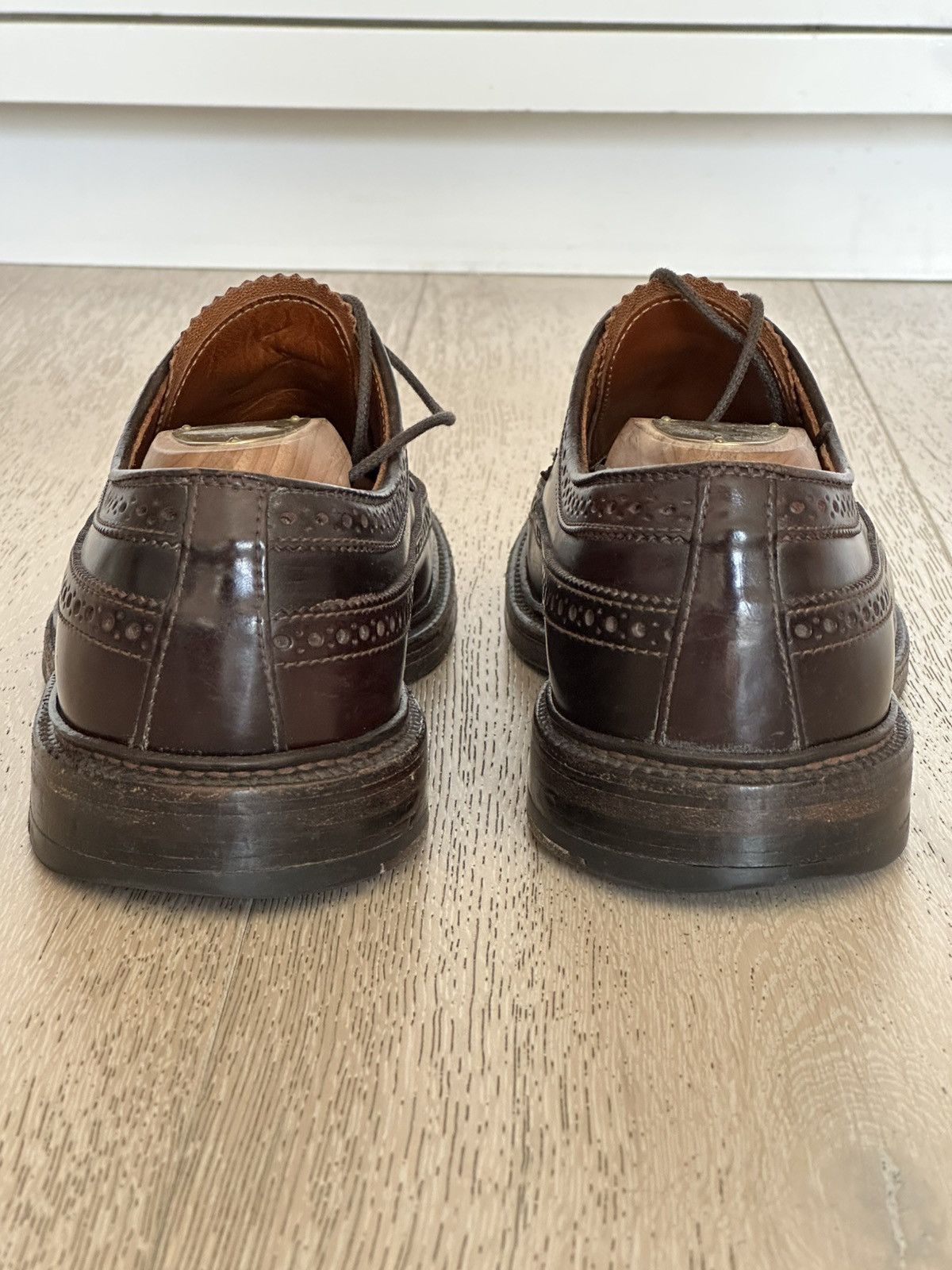 Alden Color 8 Shell Cordovan Long Wing