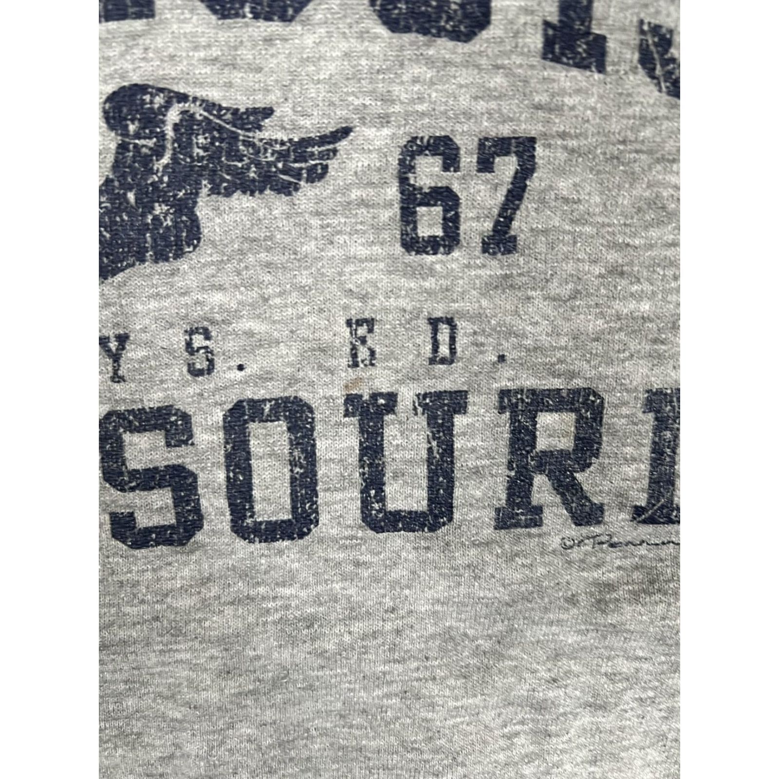 Delta VINTAGE Delta Sweatshirt Mens L Gray Crewneck St Louis Missouri Phys Ed Graphic 90s Shirt Size US L / EU 52-54 / 3 - 5 Thumbnail