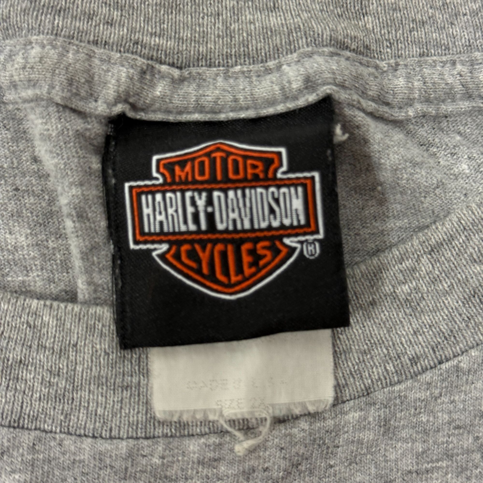 Harley Davidson Y2K HARLEY DAVIDSON Heather BIKER Tank Top SOARING EAGLE Size US XXL / EU 58 / 5 - 8 Thumbnail