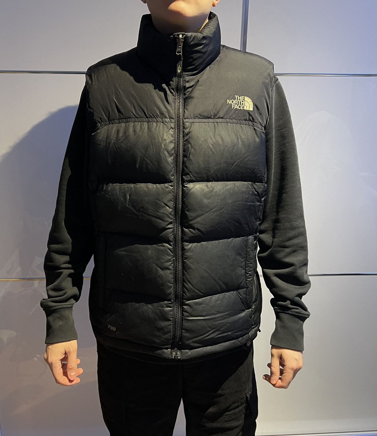 The North Face Puffer Vest The North Face 700 black jacket unisex Size L / US 10 / IT 46 - 3 Thumbnail