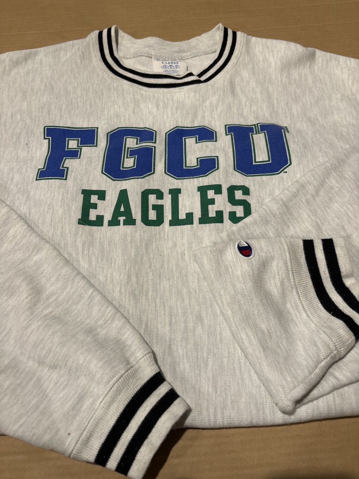 image of Vintage Champion Reverse Weave Fgcu Eagles in Grey, Men's (Size XL)