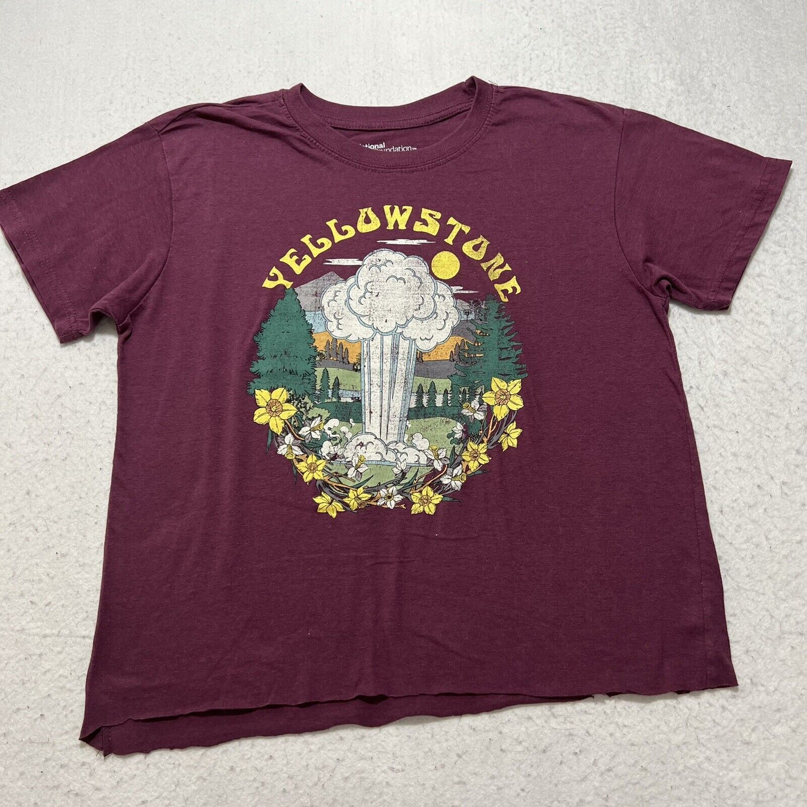 Other National Park Foundation Yellowstone Small Graphic T Shirt Size S / US 4 / IT 40 - 1 Thumbnail