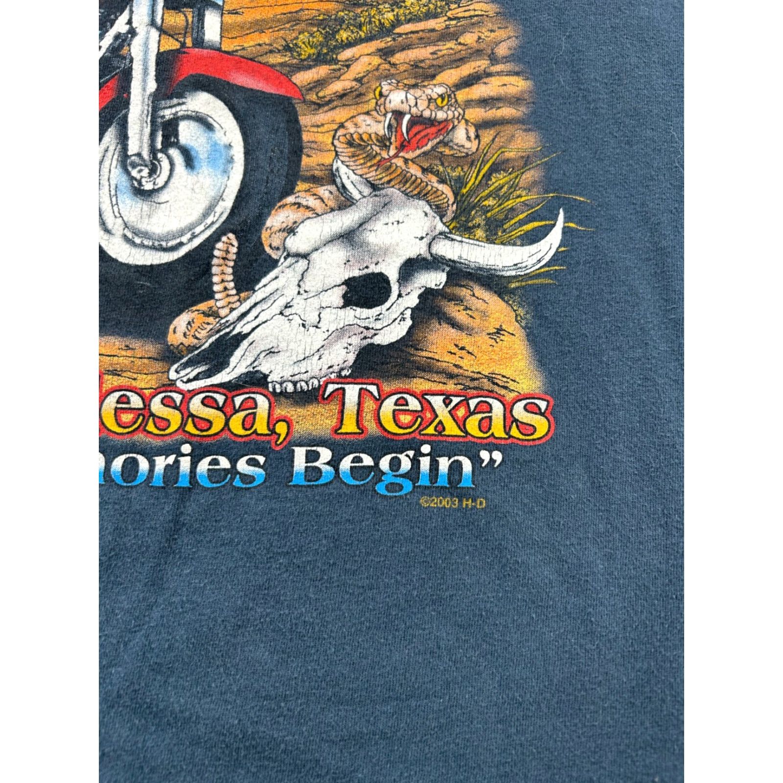 Harley Davidson VINTAGE Harley-Davidson Long Sleeve Shirt Mens 3XL Blue Graphic Print Crew Neck Biker Texas 2000s Size US XXL / EU 58 / 5 - 6 Thumbnail