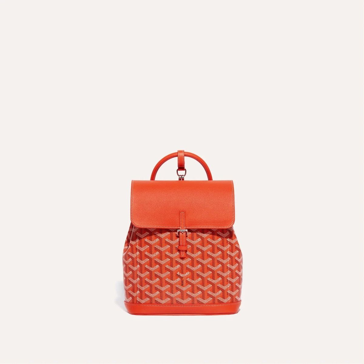 Goyard Alpin mini backpack Size ONE SIZE - 2 Thumbnail
