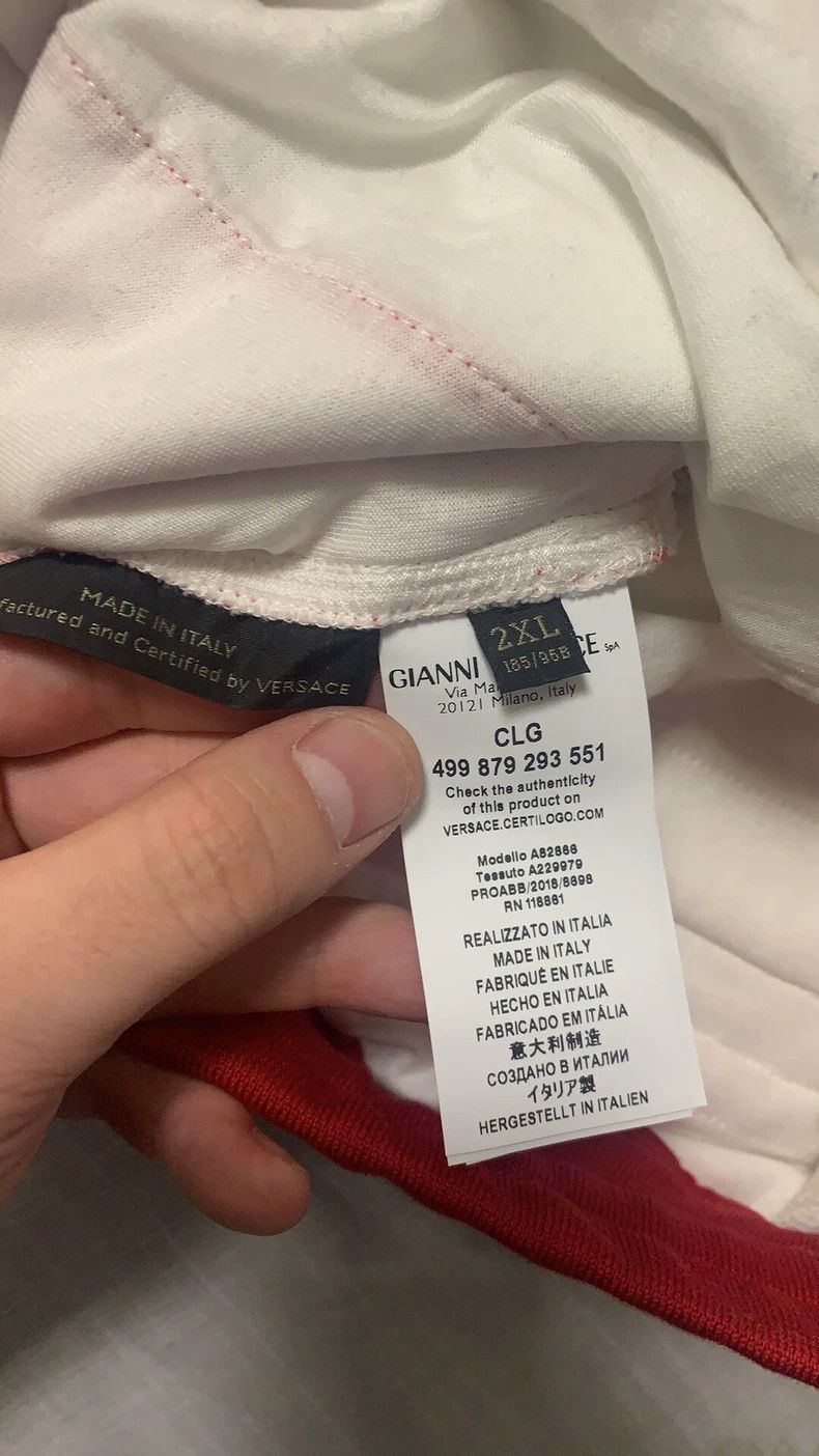 Versace Versace Year of the Pig limited trousers Size US 40 / EU 56 - 5 Thumbnail