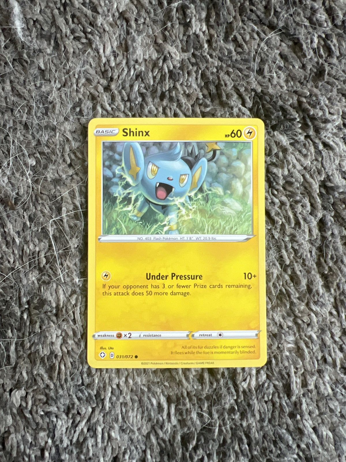 Pokemon 2021 Pokémon Shinx Basic Card Size ONE SIZE - 1 Thumbnail