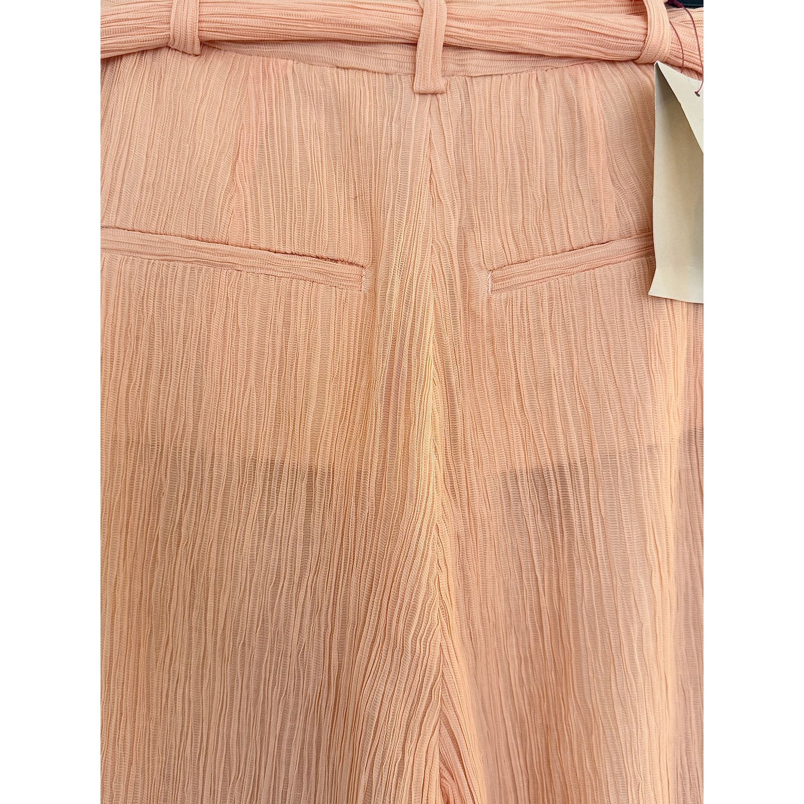 Gabriela Hearst Gabriela Hearst NWT Pink Silk Cotton Crepon Thomzaaia Pants Size M / US 6-8 / IT 42-44 - 6 Thumbnail