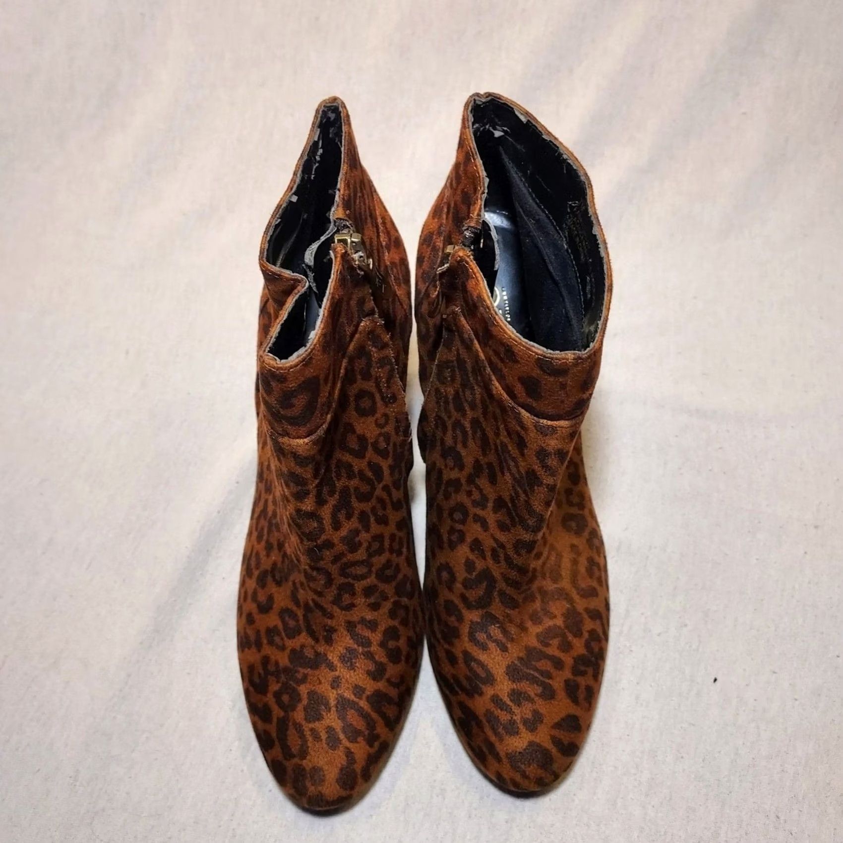 Ann Taylor Ann Taylor LOFT Leopard Ankle Booties Block Heel Zip Shoes Women Leather Ankle Boots Multicolor Animal Print Casual 7M Winter Fall Spring Womens Size US 7 / IT 37 - 5 Thumbnail