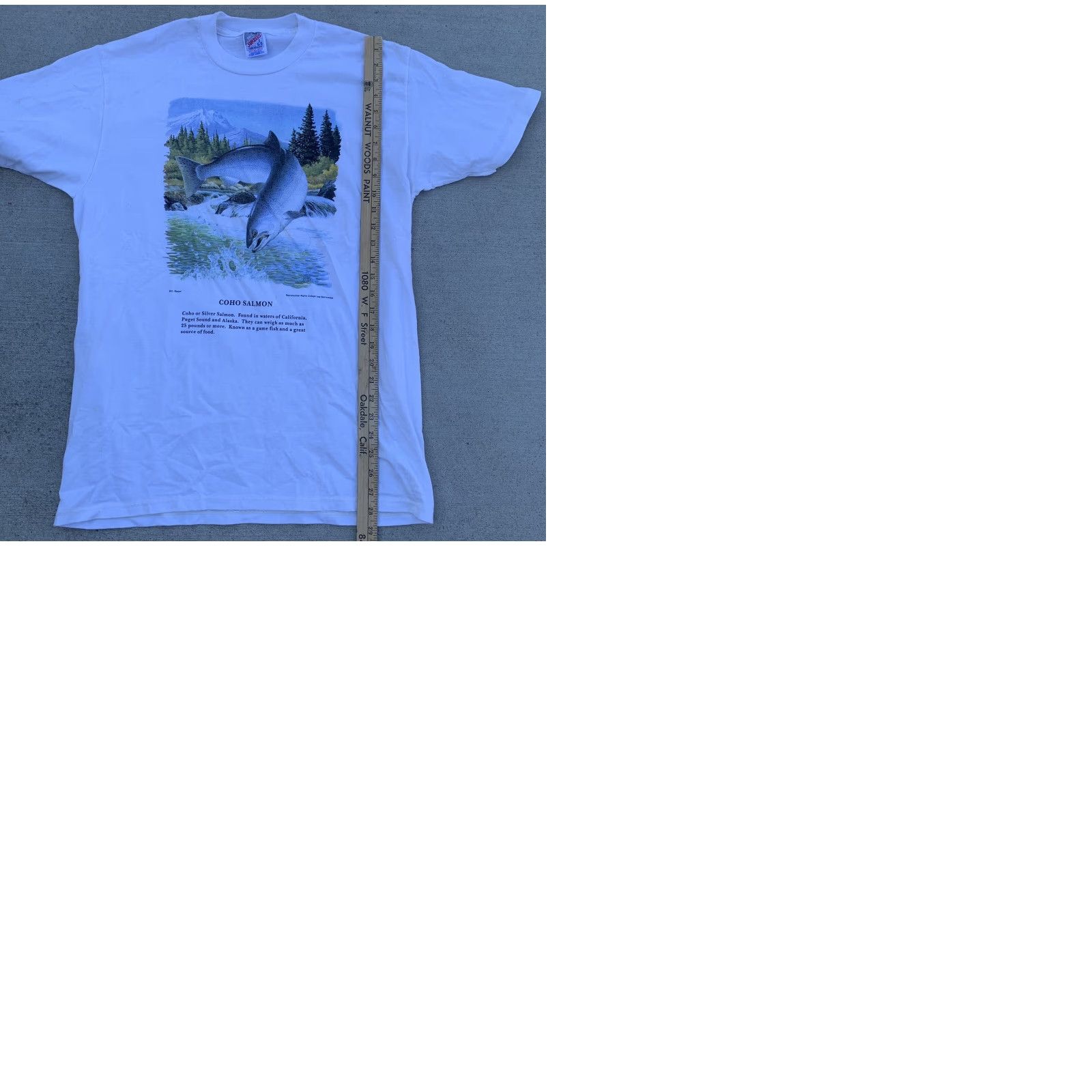 Jerzees VINTAGE Jerzees Coho Salmon T Shirt Men L Graphic Print Crew Neck White 50/50 90s Fish Nature Shirt Size US L / EU 52-54 / 3 - 9 Thumbnail