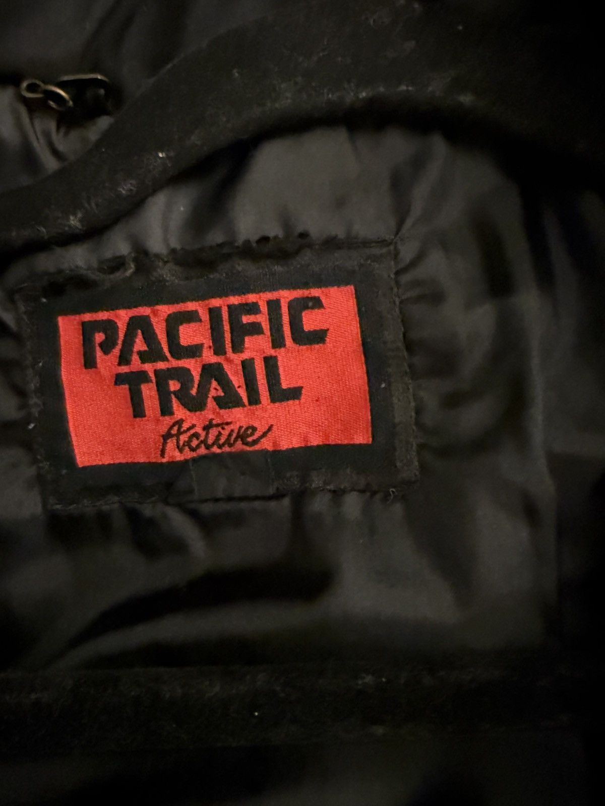 Pacific Trail Pacific Trail 90’s ski jacket Size US M / EU 48-50 / 2 - 5 Thumbnail