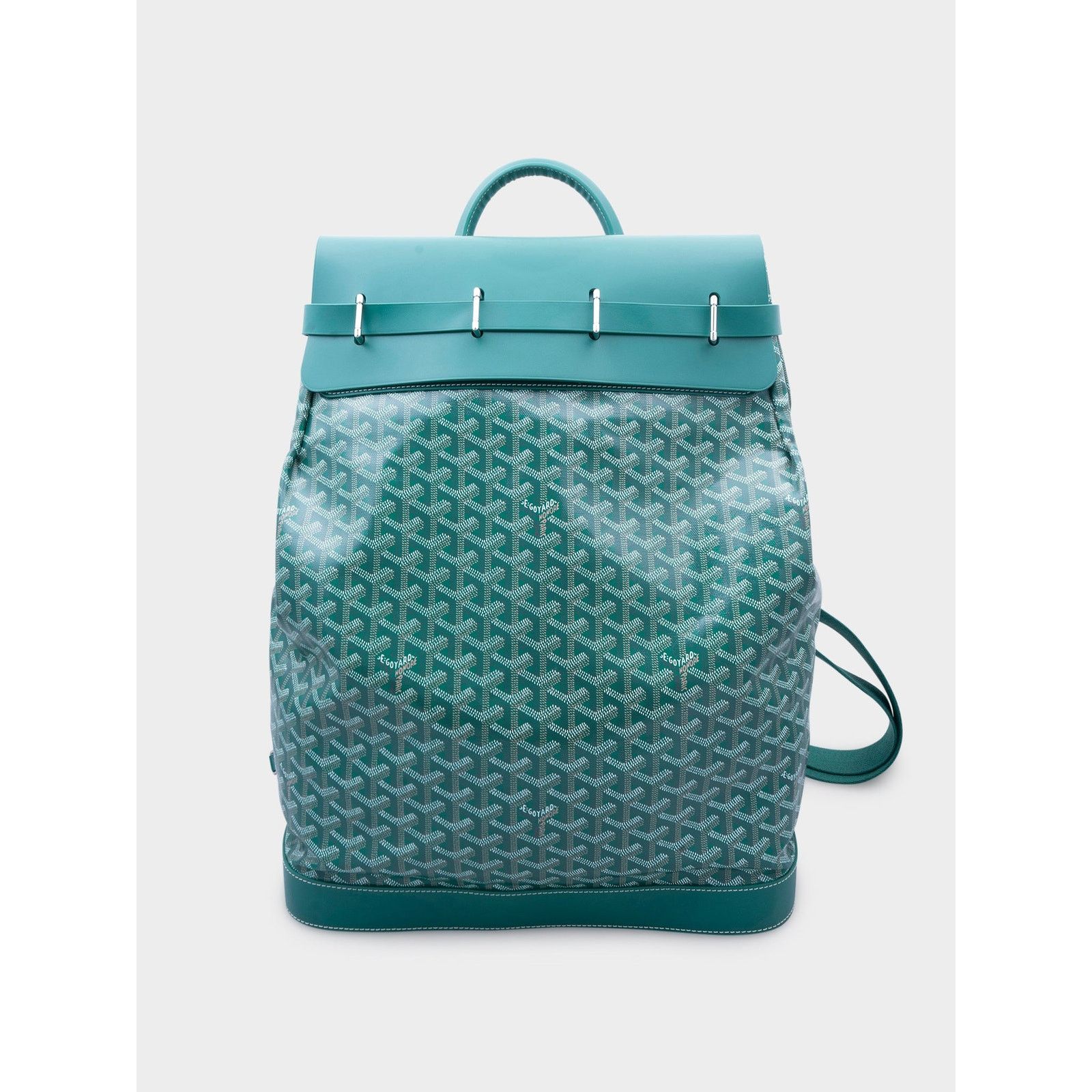 Goyard Green Steamer PM Backpack Size ONE SIZE - 1 Thumbnail