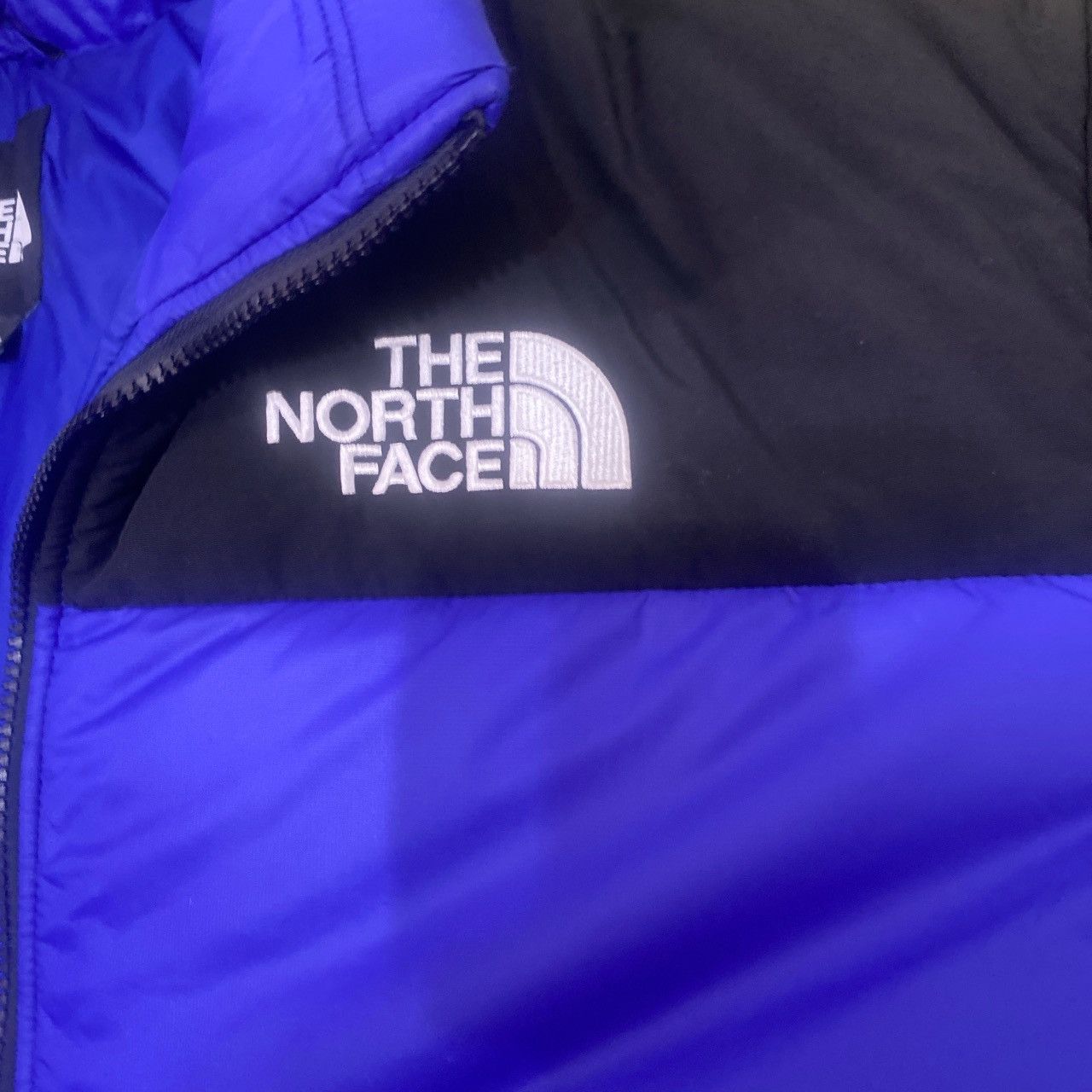 The North Face The north face puffer coat Size US L / EU 52-54 / 3 - 2 Thumbnail