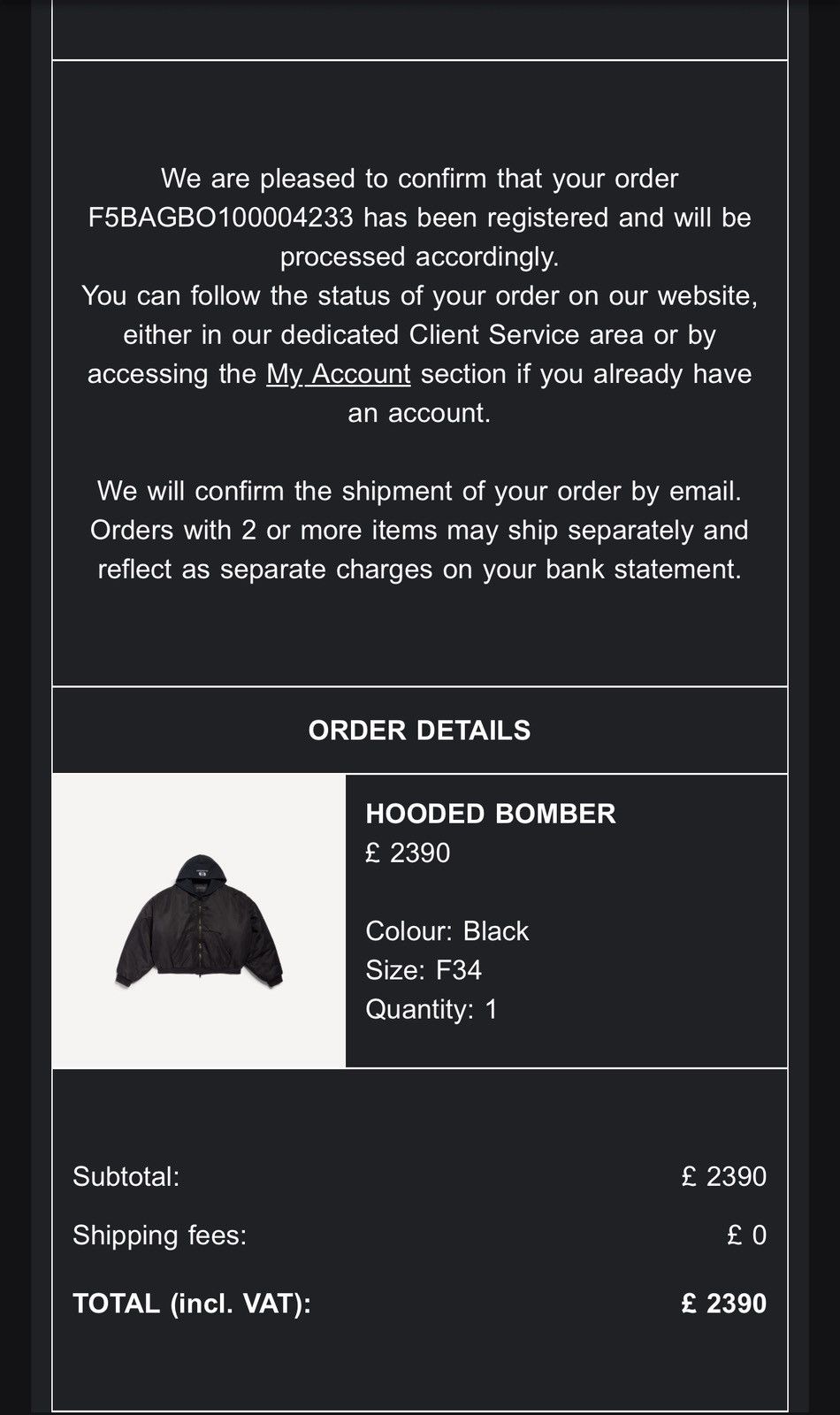 Balenciaga Balenciaga Unity Hooded Bomber Size US XS / EU 42 / 0 - 6 Thumbnail