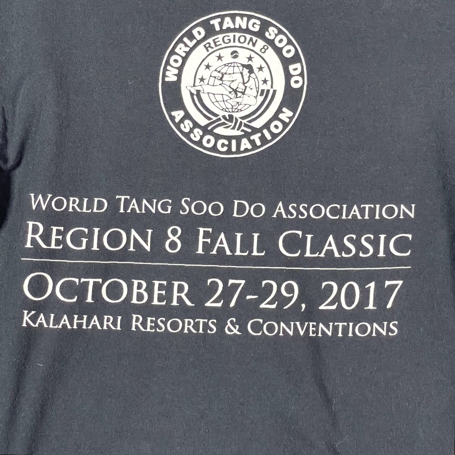 Fruit Of The Loom Fruit Of The Loom Shirt Mens Small Black Tang Soo Do Region 8 Fall Classic 2017 S Black Dragon Tournament Graphic Print Long Sleeve T-Shirt Mens Size US S / EU 44-46 / 1 - 4 Thumbnail