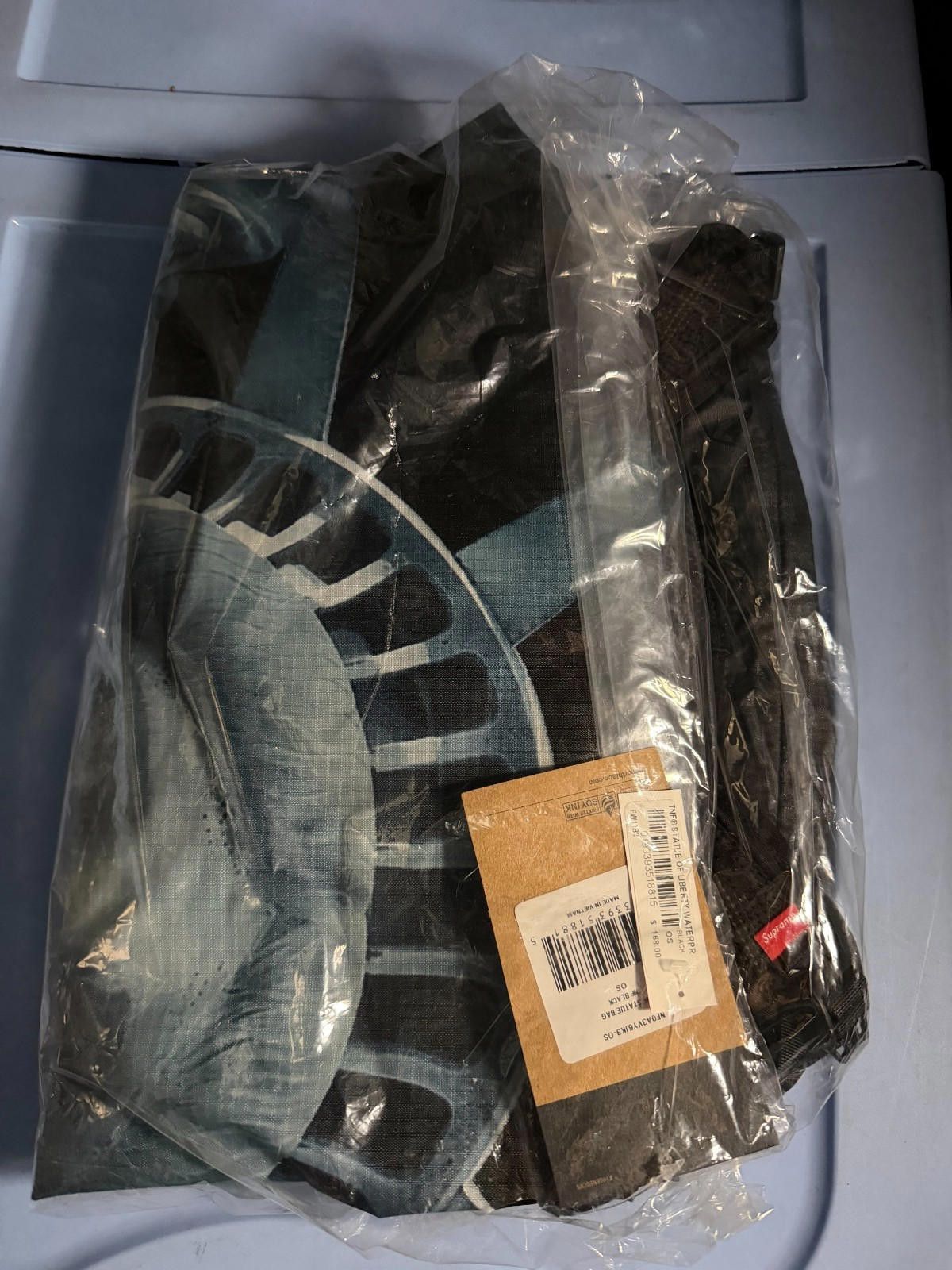 Supreme SUPREME x The North Face Statue of Liberty Backpack Size ONE SIZE - 1 Thumbnail