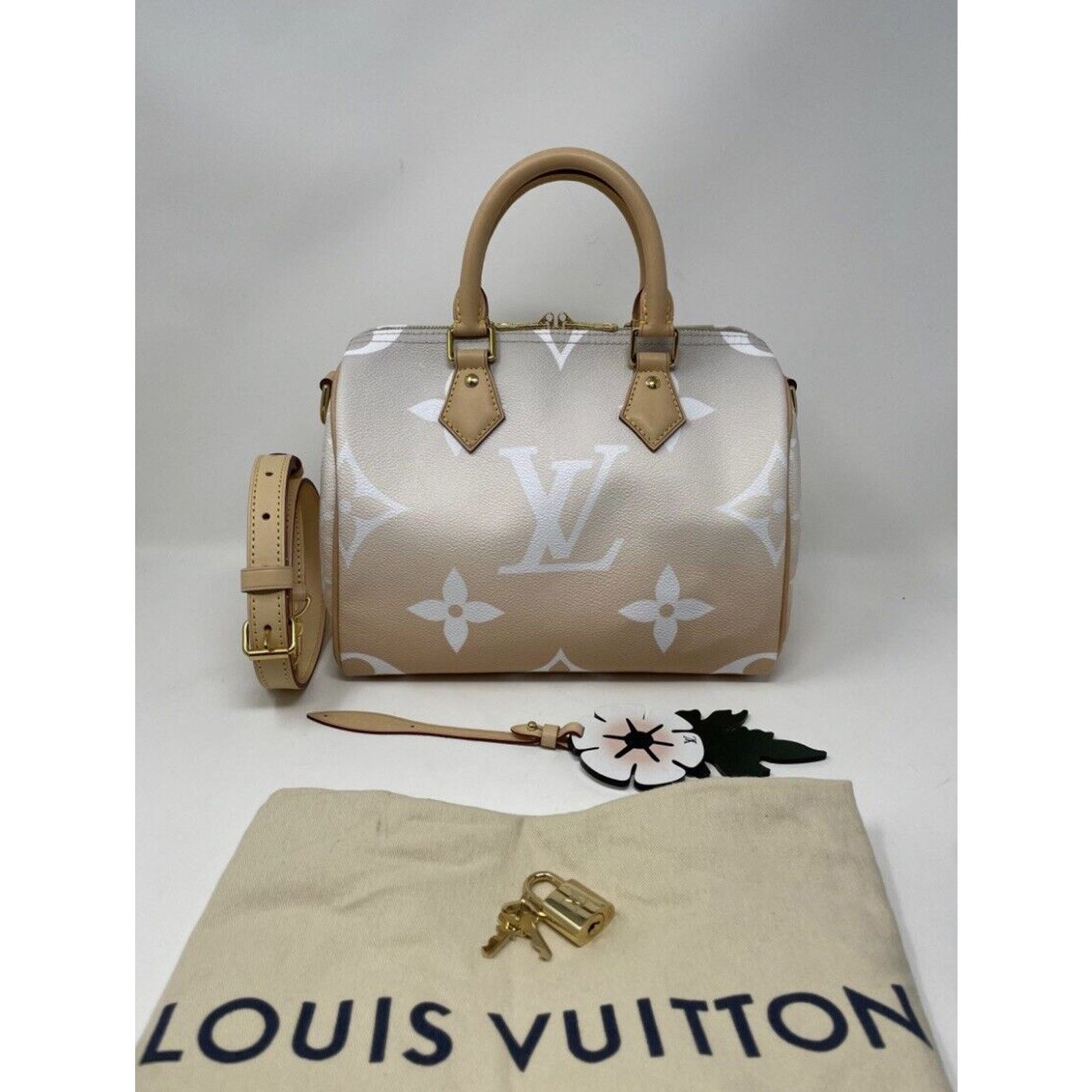 Louis Vuitton Louis Vuitton Speedy 25 Bandouliere By The Pool Brume Mist Size ONE SIZE - 3 Thumbnail