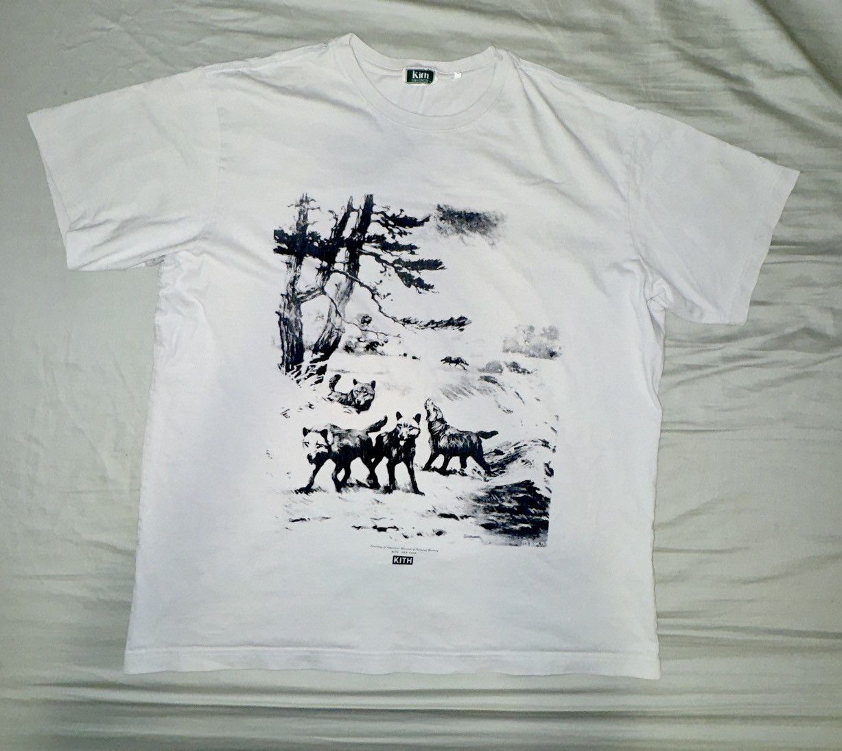 Kith Kith AMNH Wolves vintage tee Size US XXL / EU 58 / 5 - 1 Thumbnail