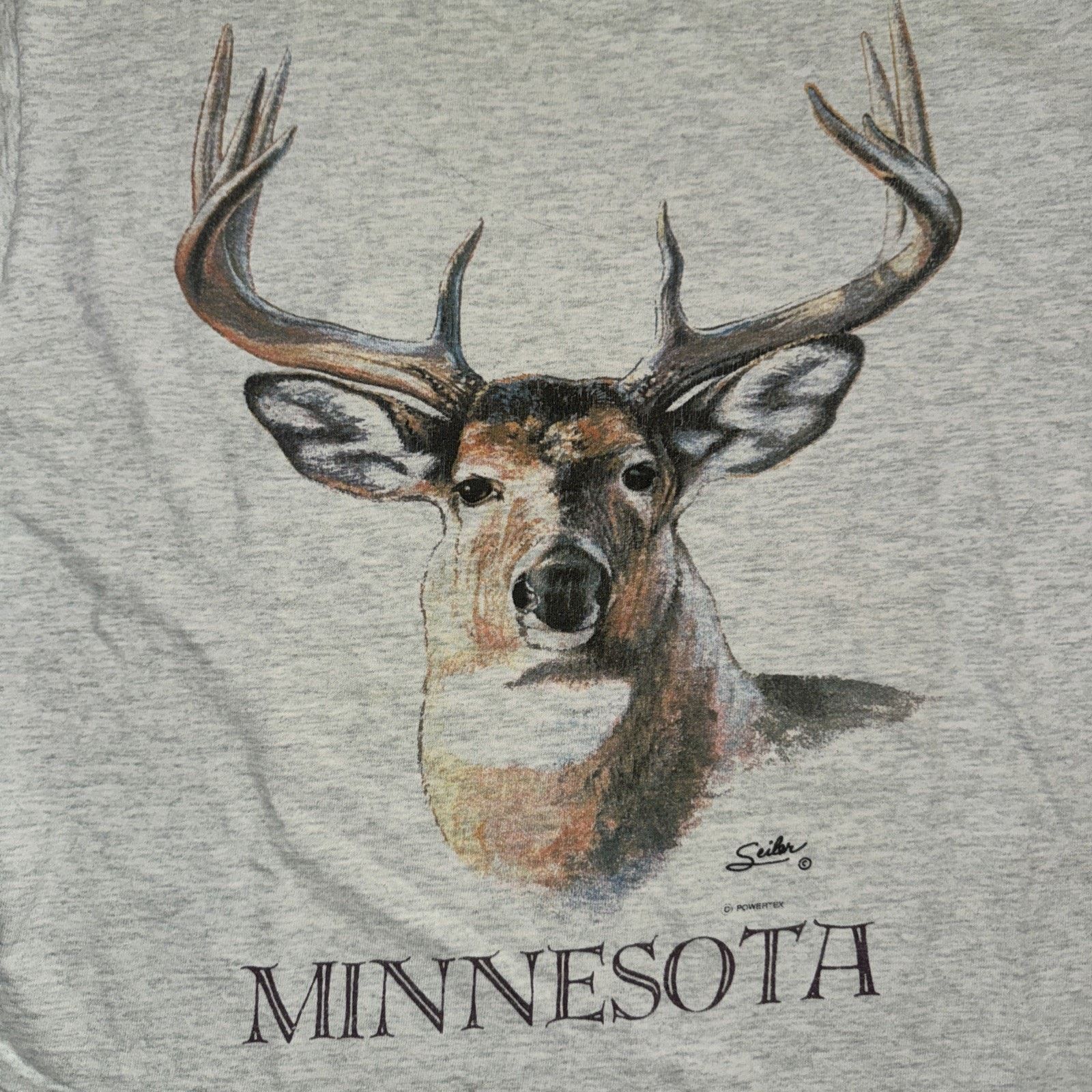 Fruit Of The Loom × Vintage Fruit Of The Loom Minnesota Single Stitch T-Shirt L 21x26 Size US L / EU 52-54 / 3 - 2 Thumbnail