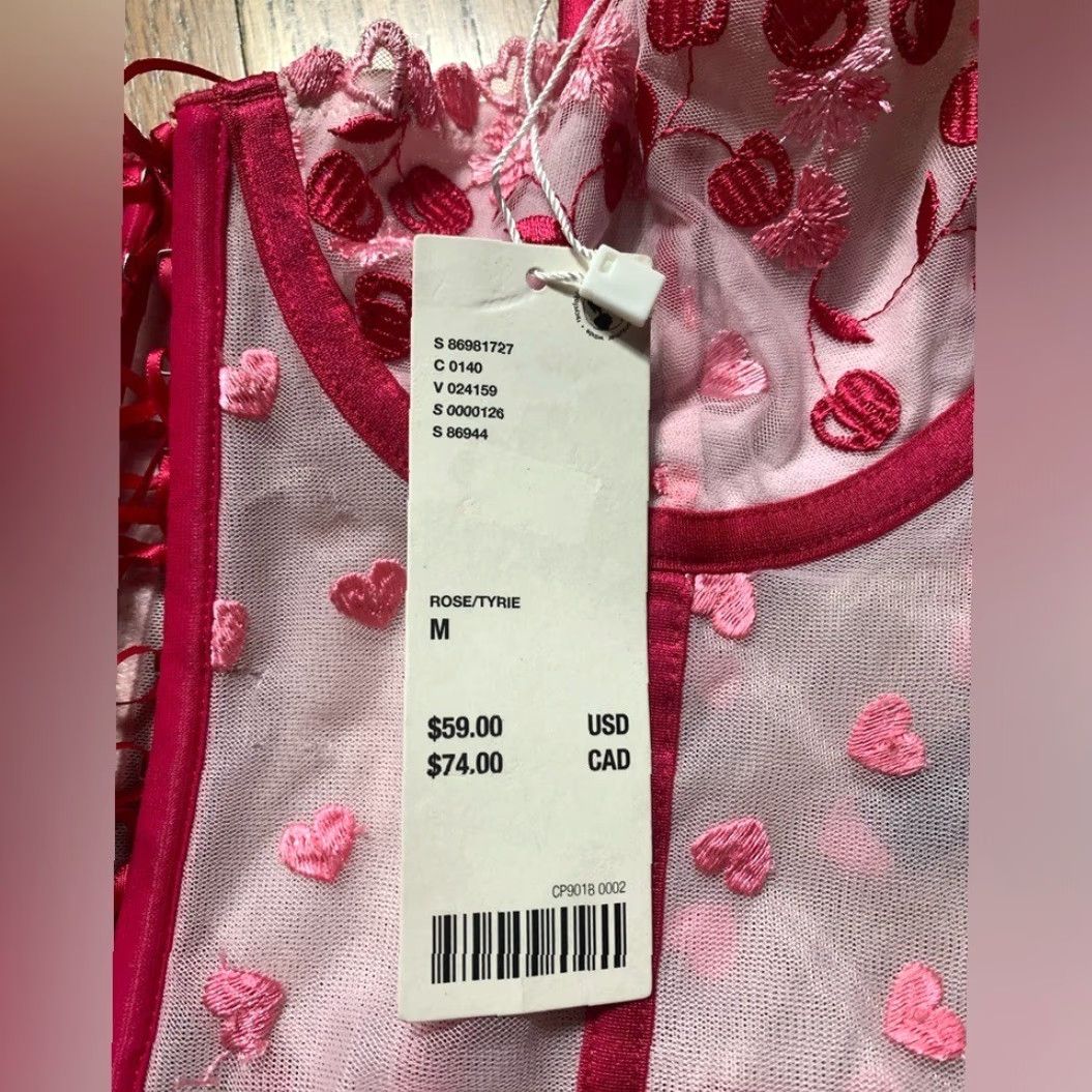 Urban Outfitters NWT Urban Outfitters Corset Top M Rose Cherry Heart Multicolor Medium Regular Girls? Mens? Wait. Size M / US 6-8 / IT 42-44 - 4 Thumbnail